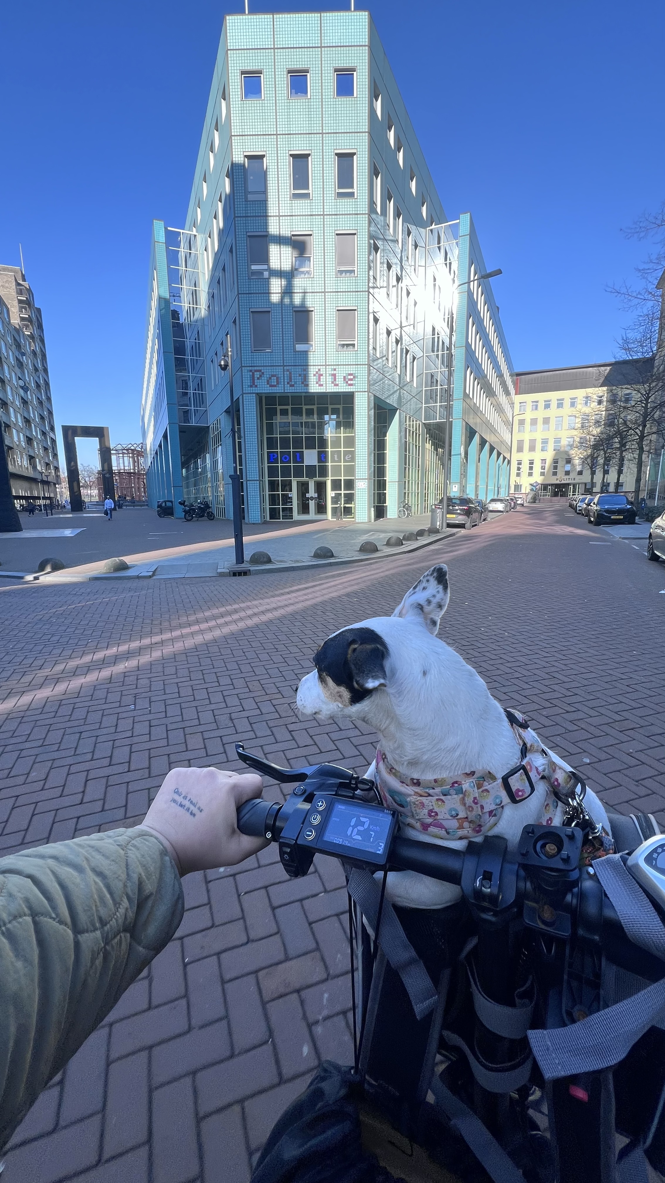 image-9