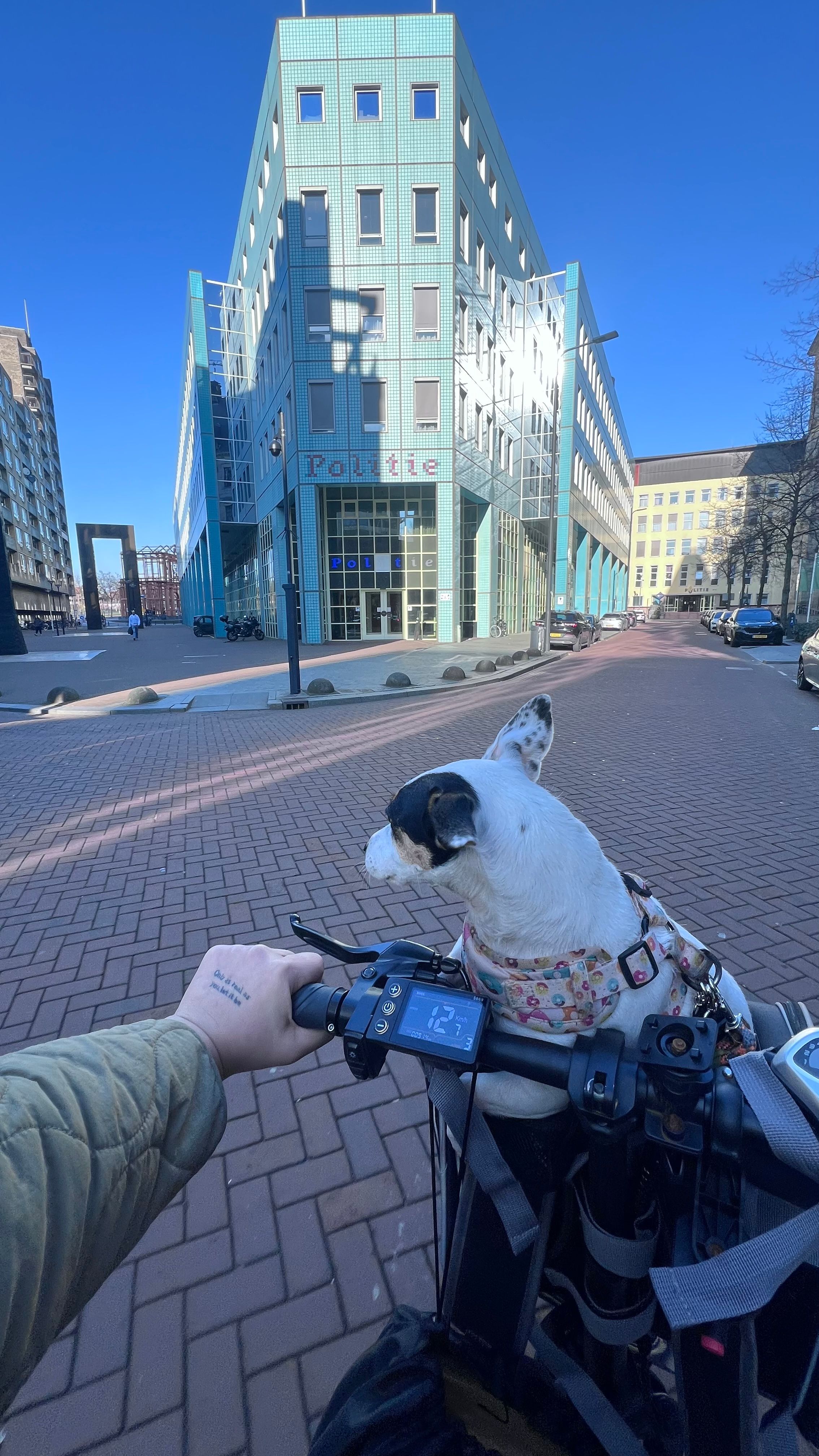 image-9
