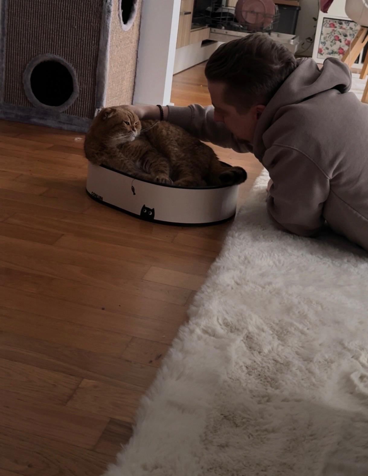 image-8