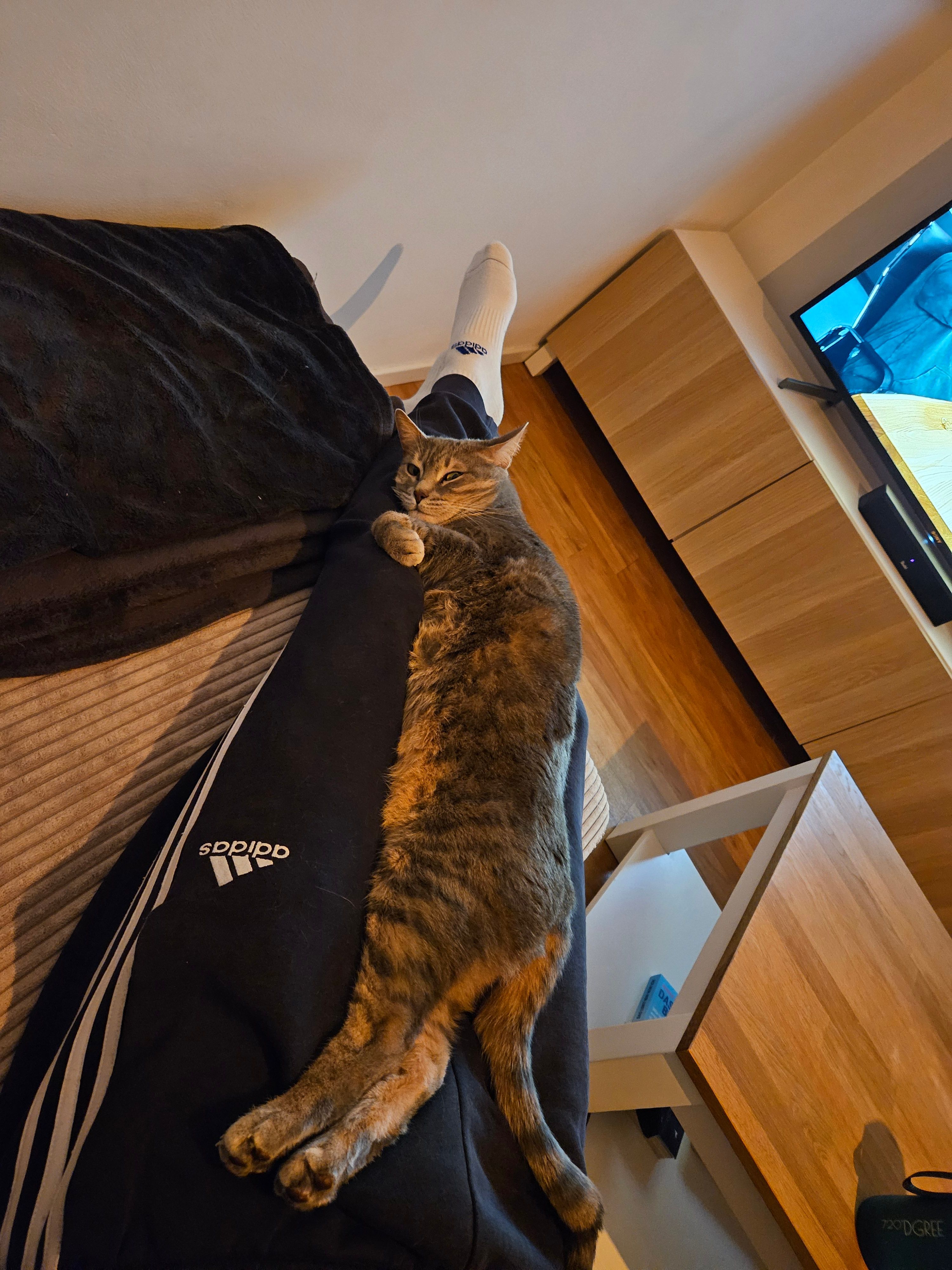 image-9