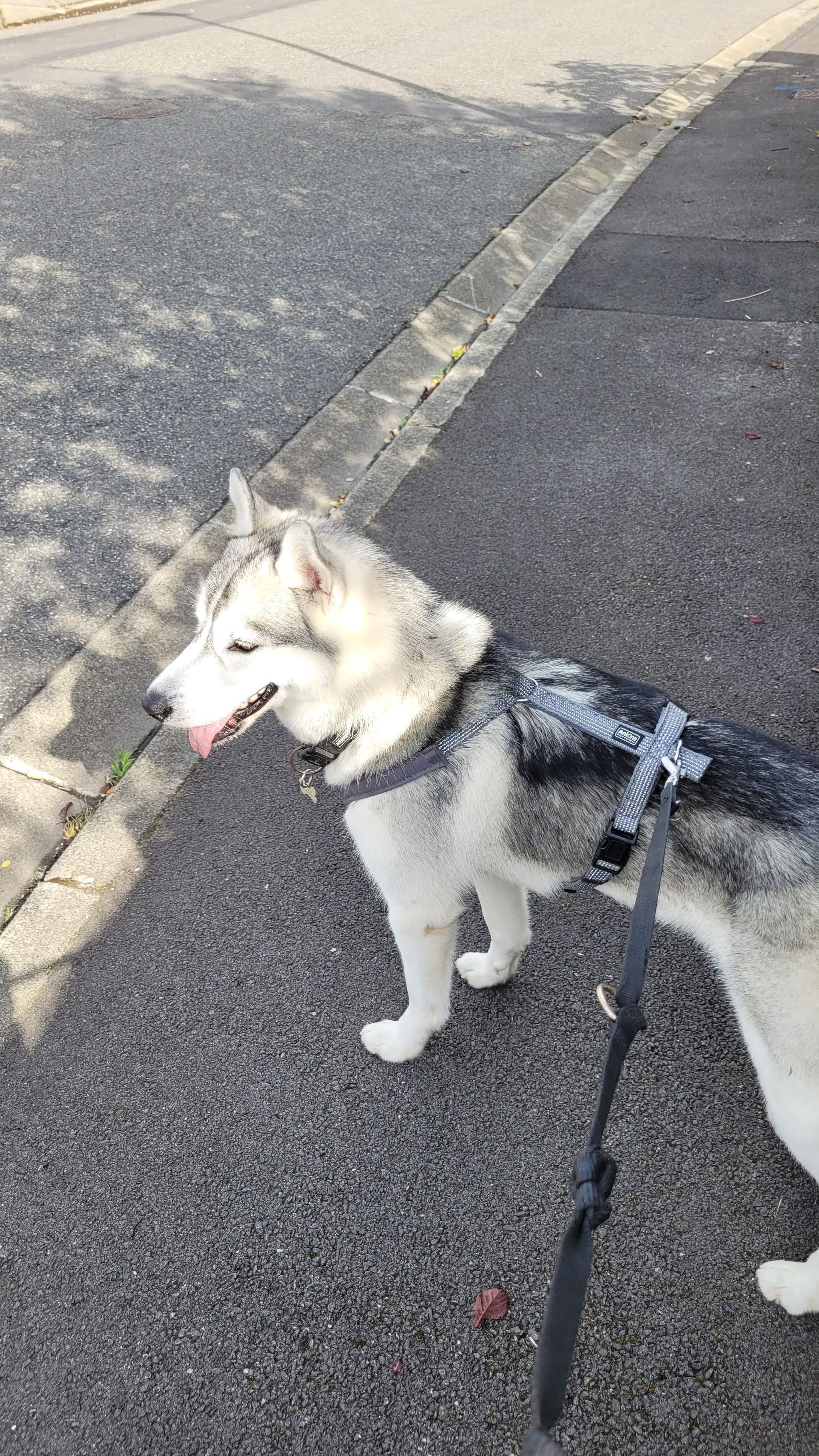 image-7