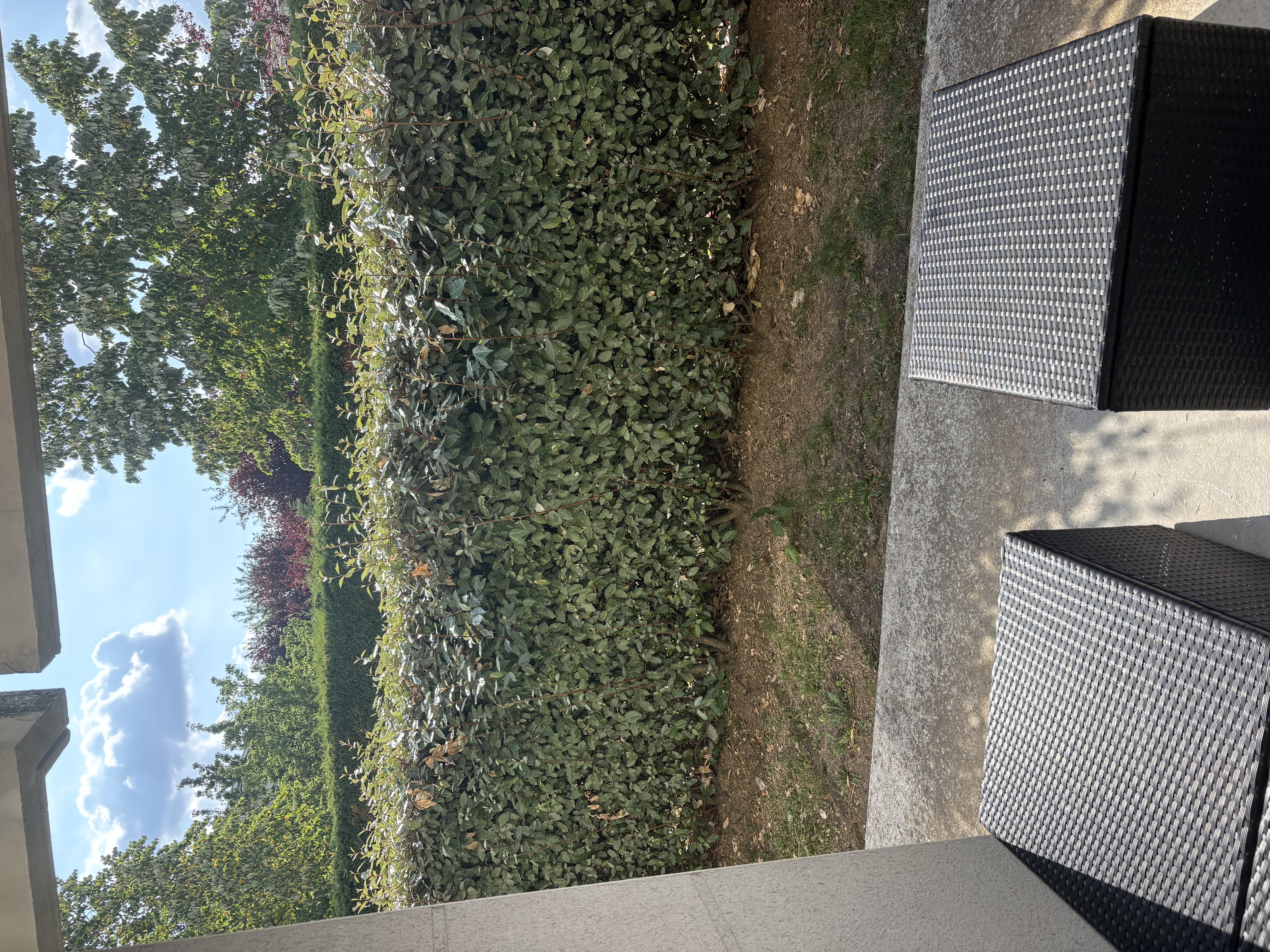 image-18