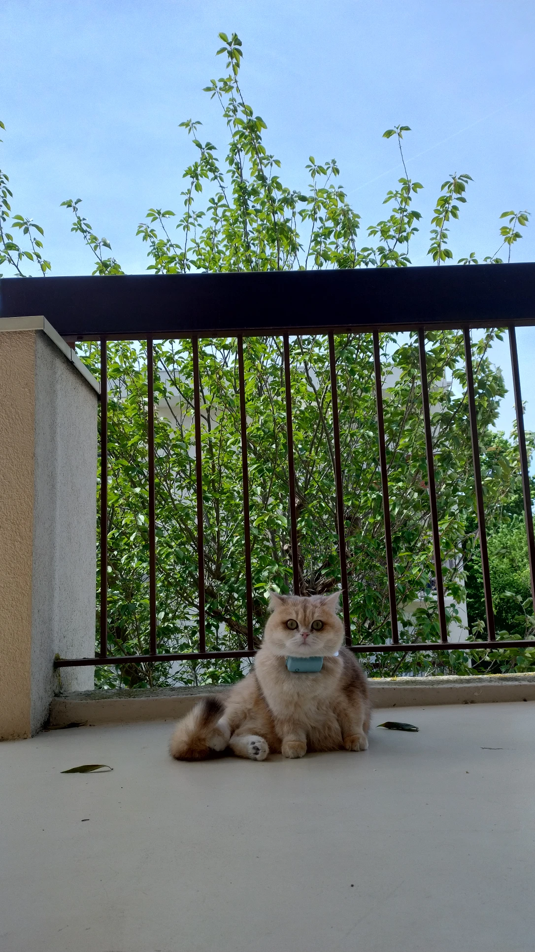 image-17