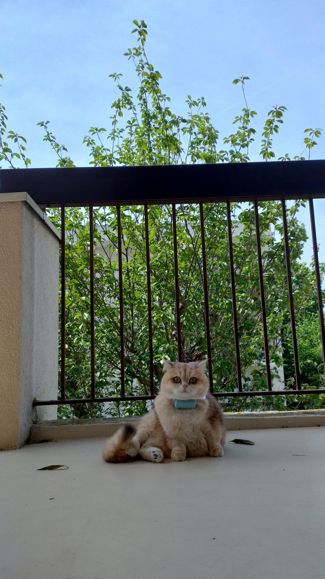 image-17