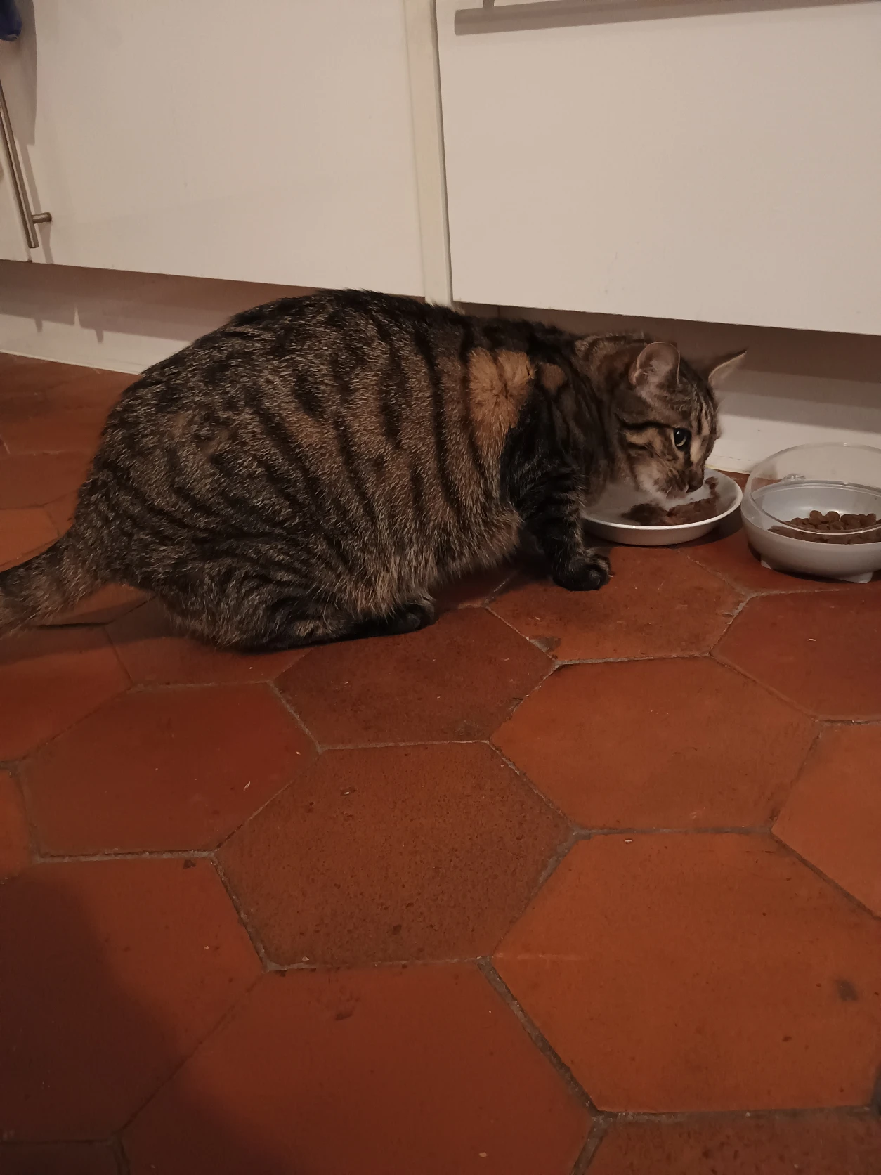image-9
