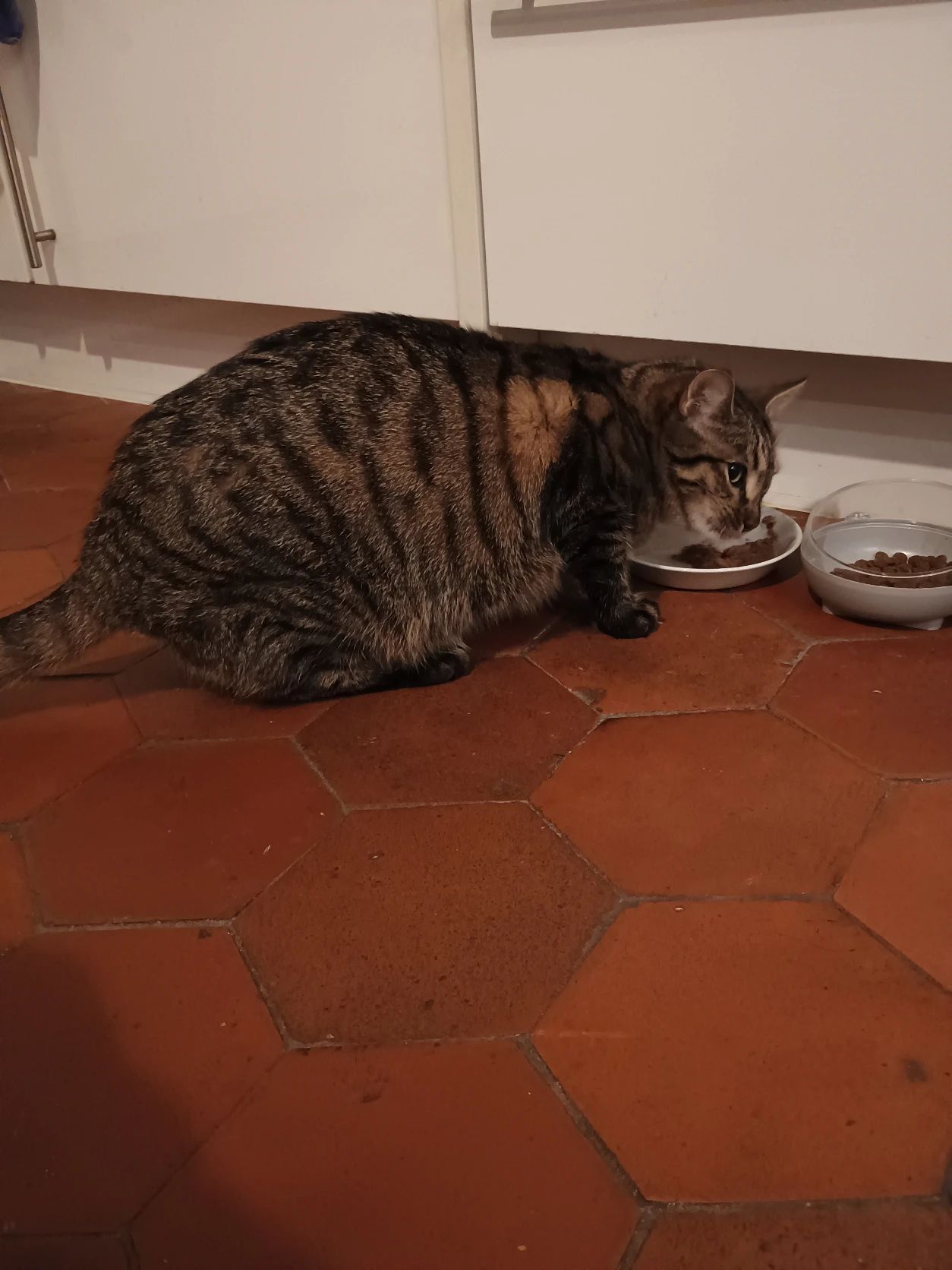 image-9