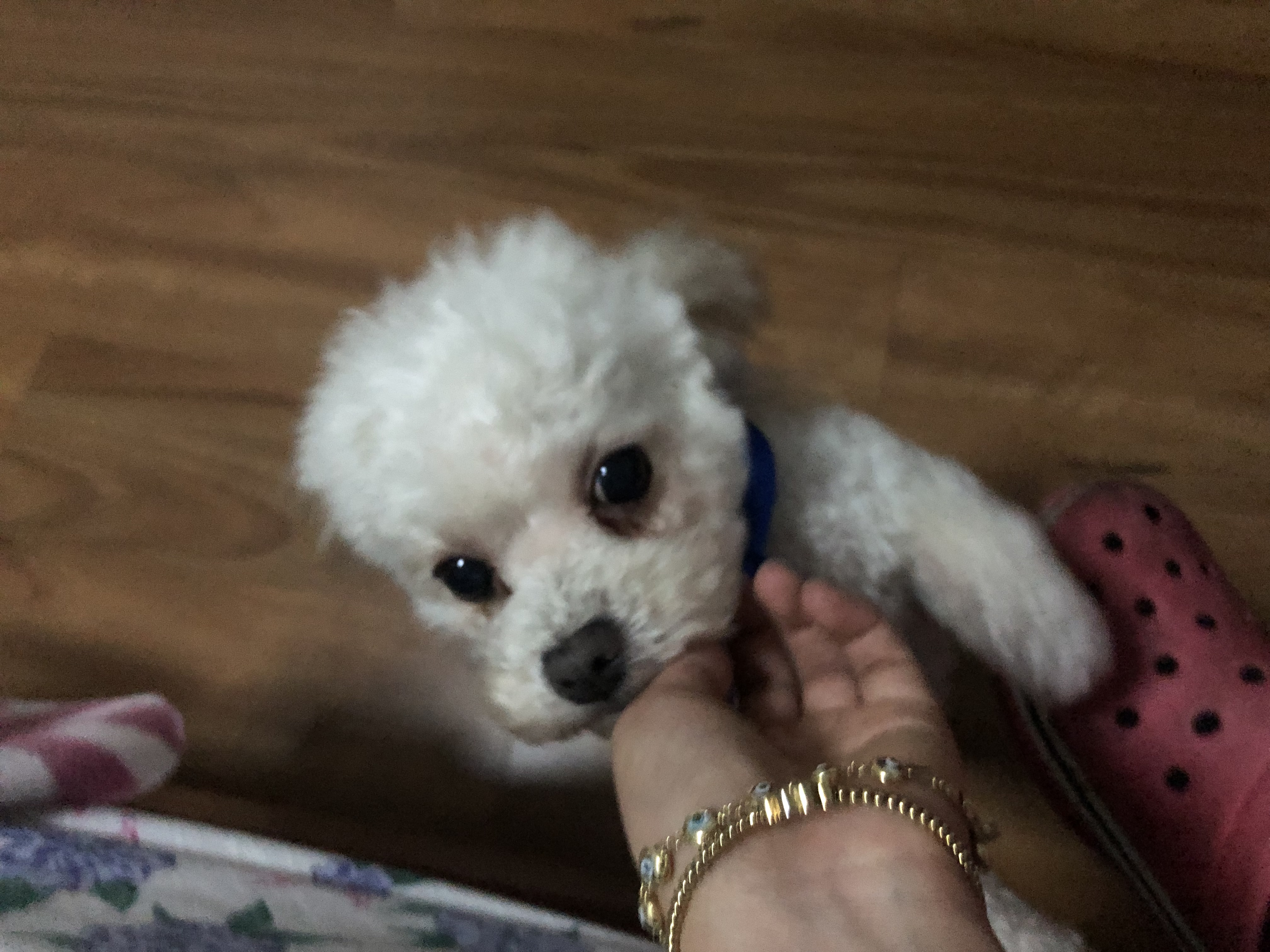 image-11