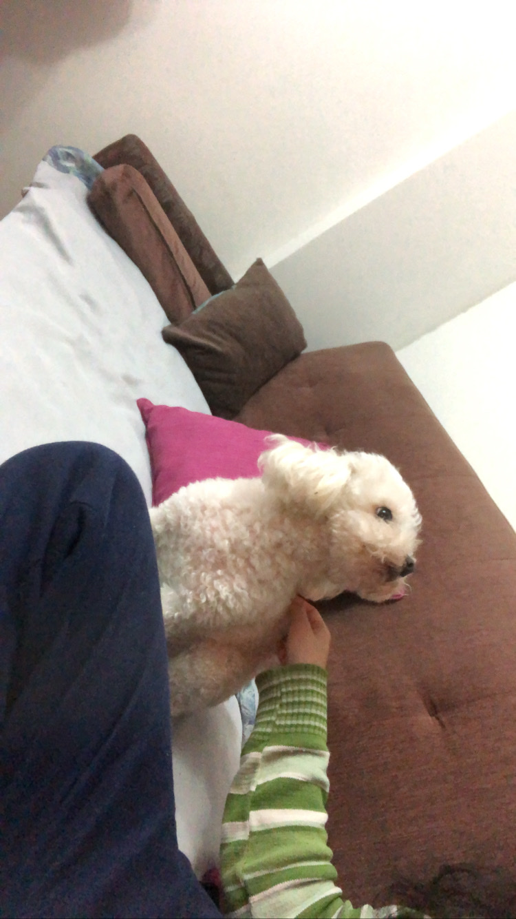 image-15
