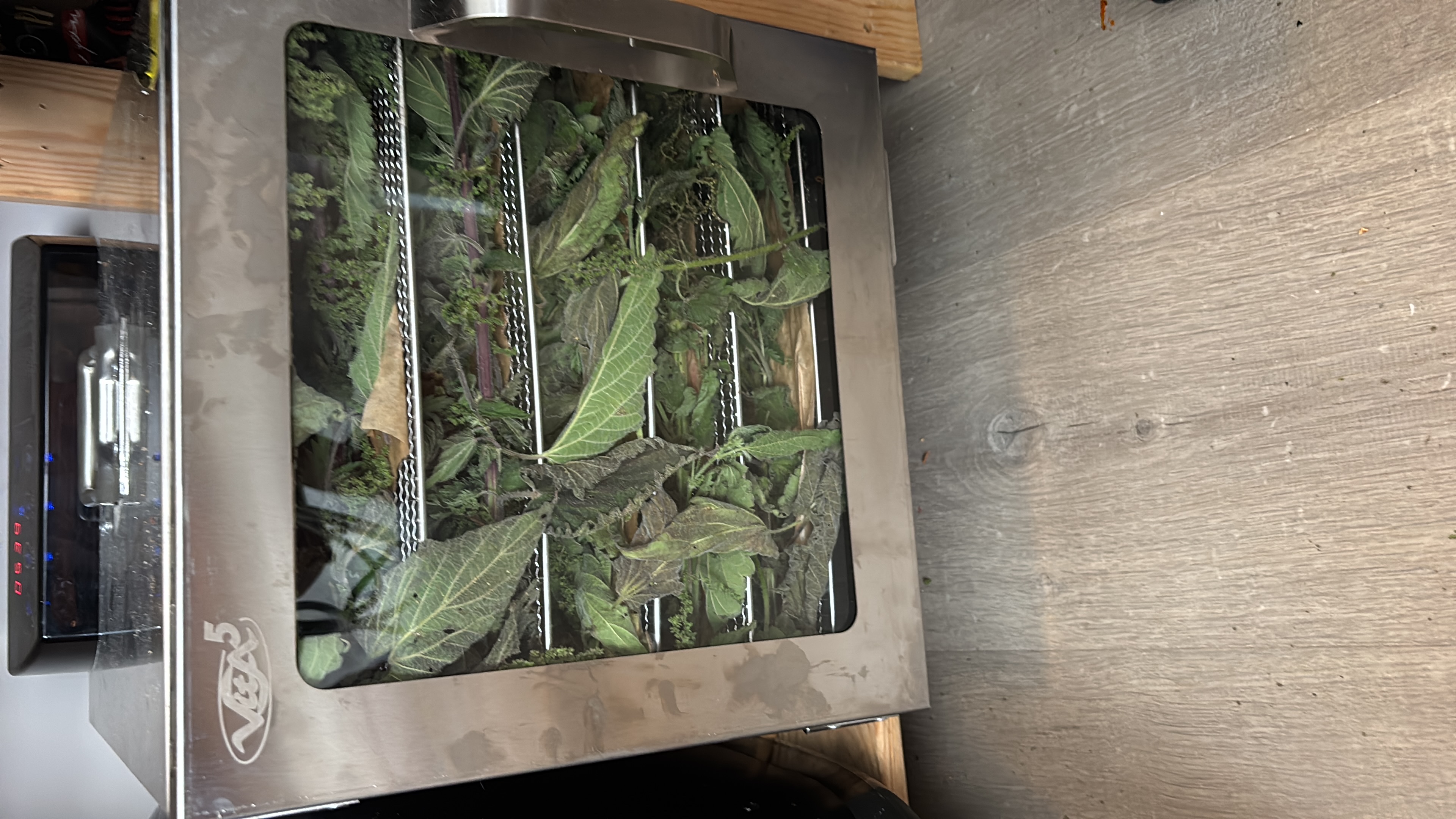 image-7
