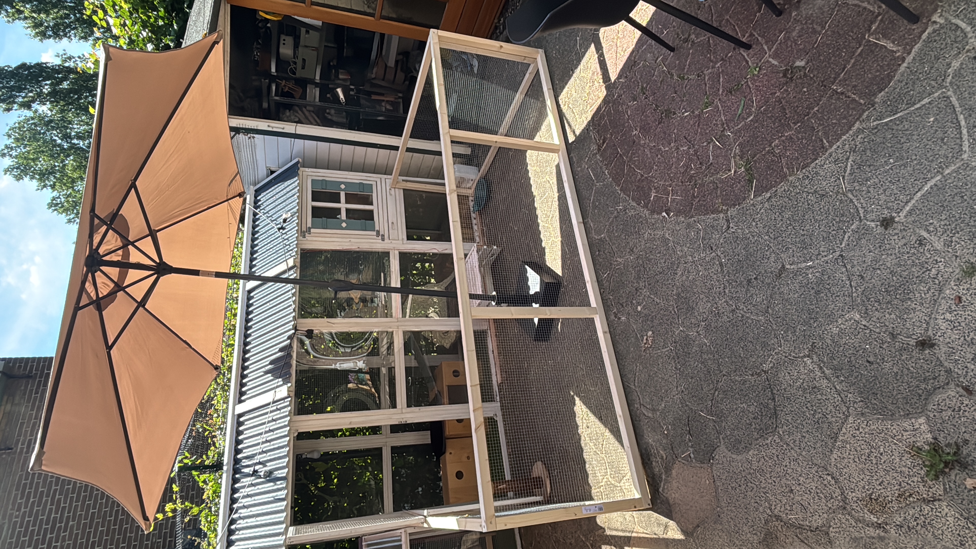 image-20