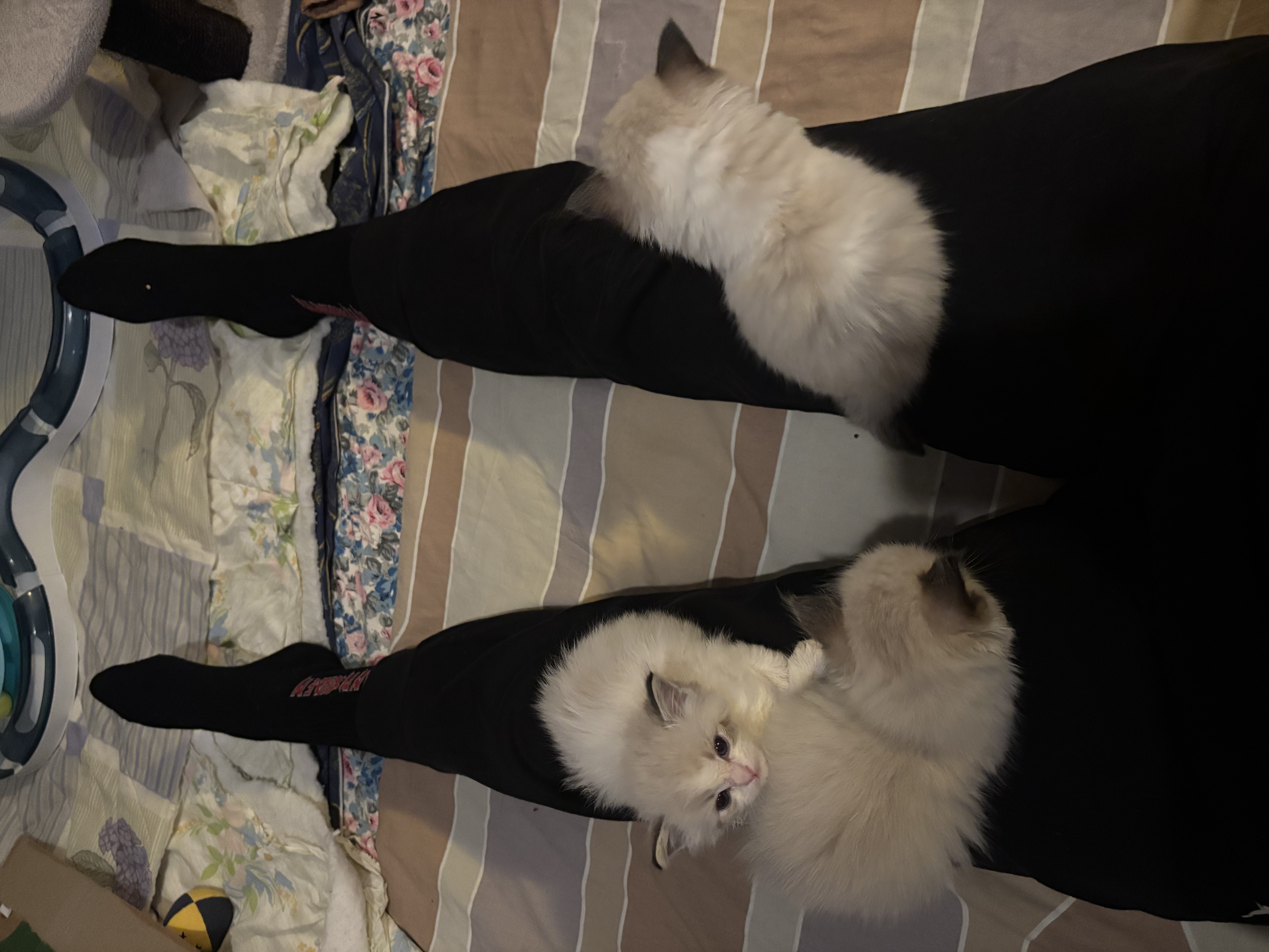 image-9