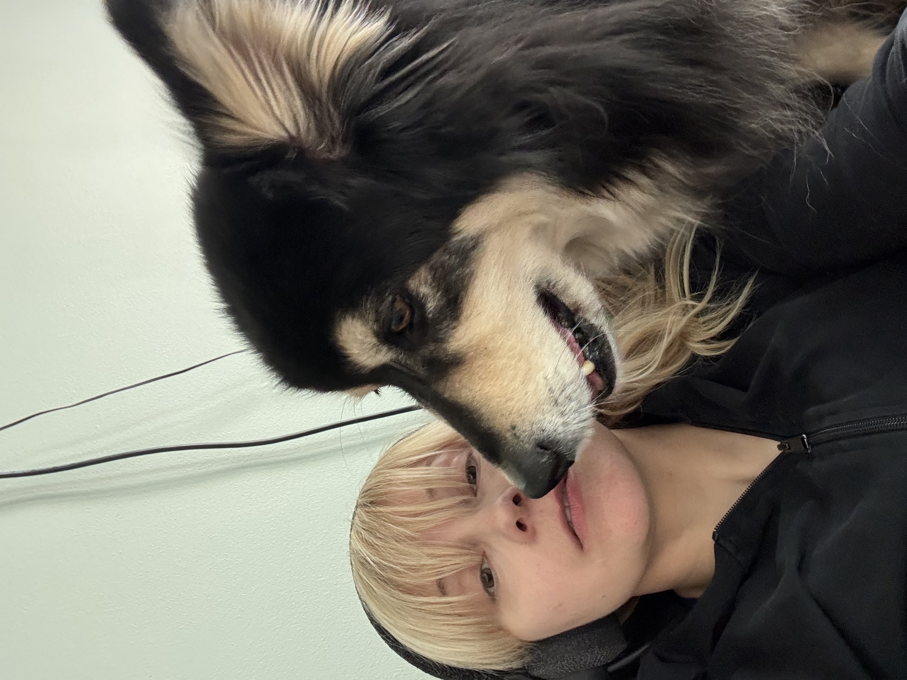 image-11