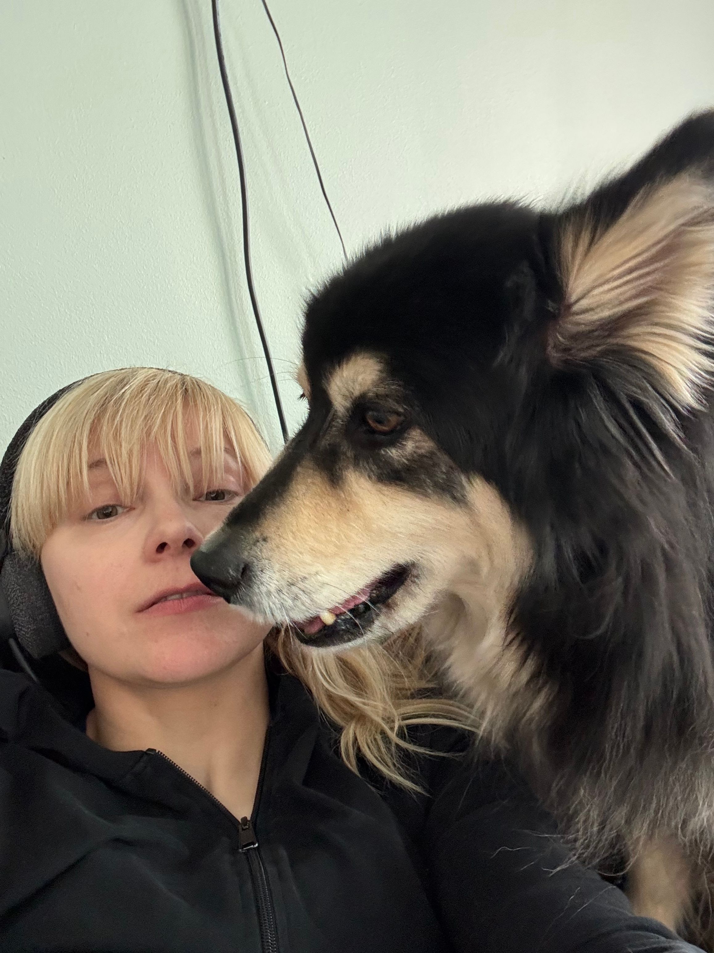image-11