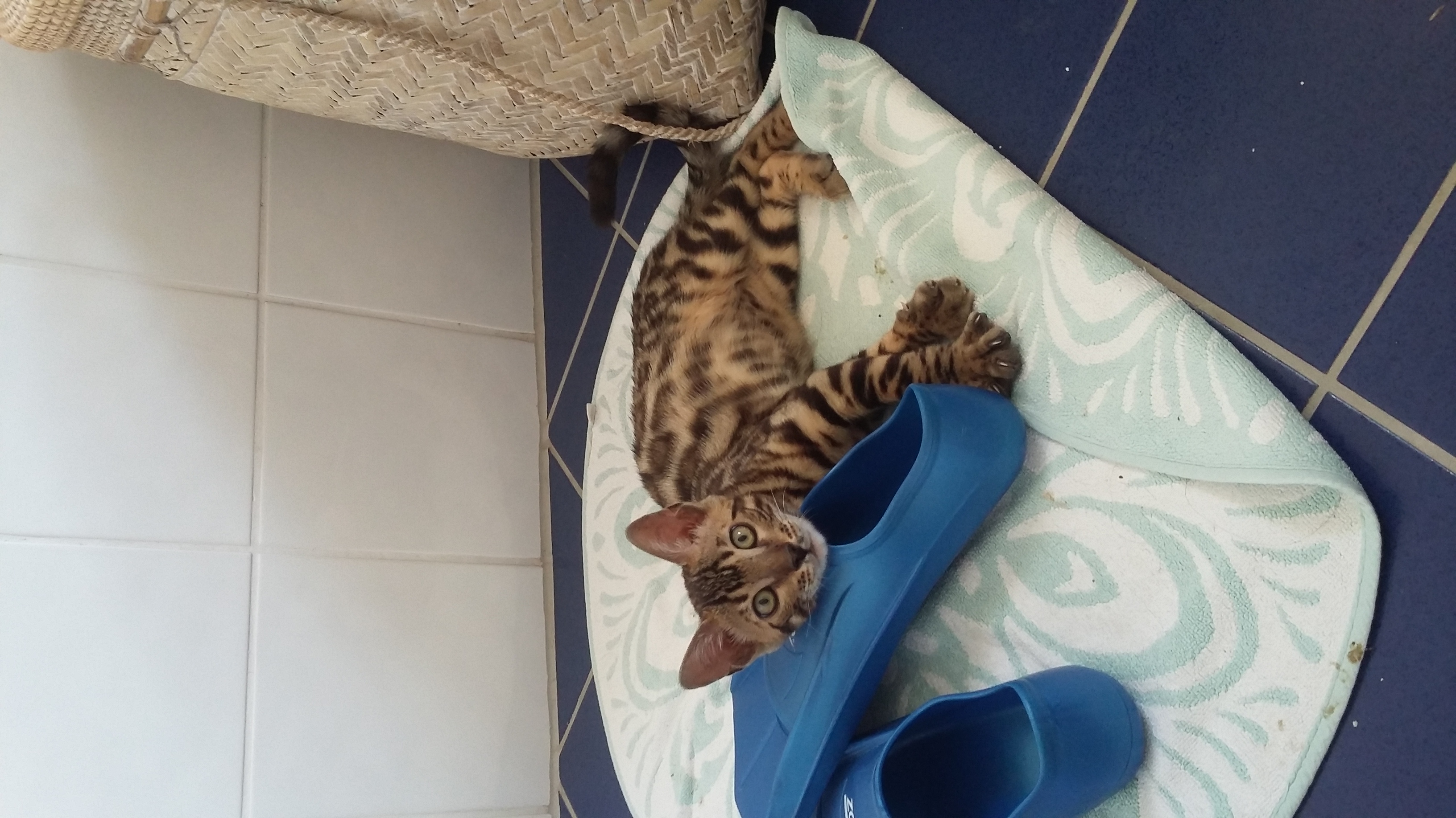 image-6