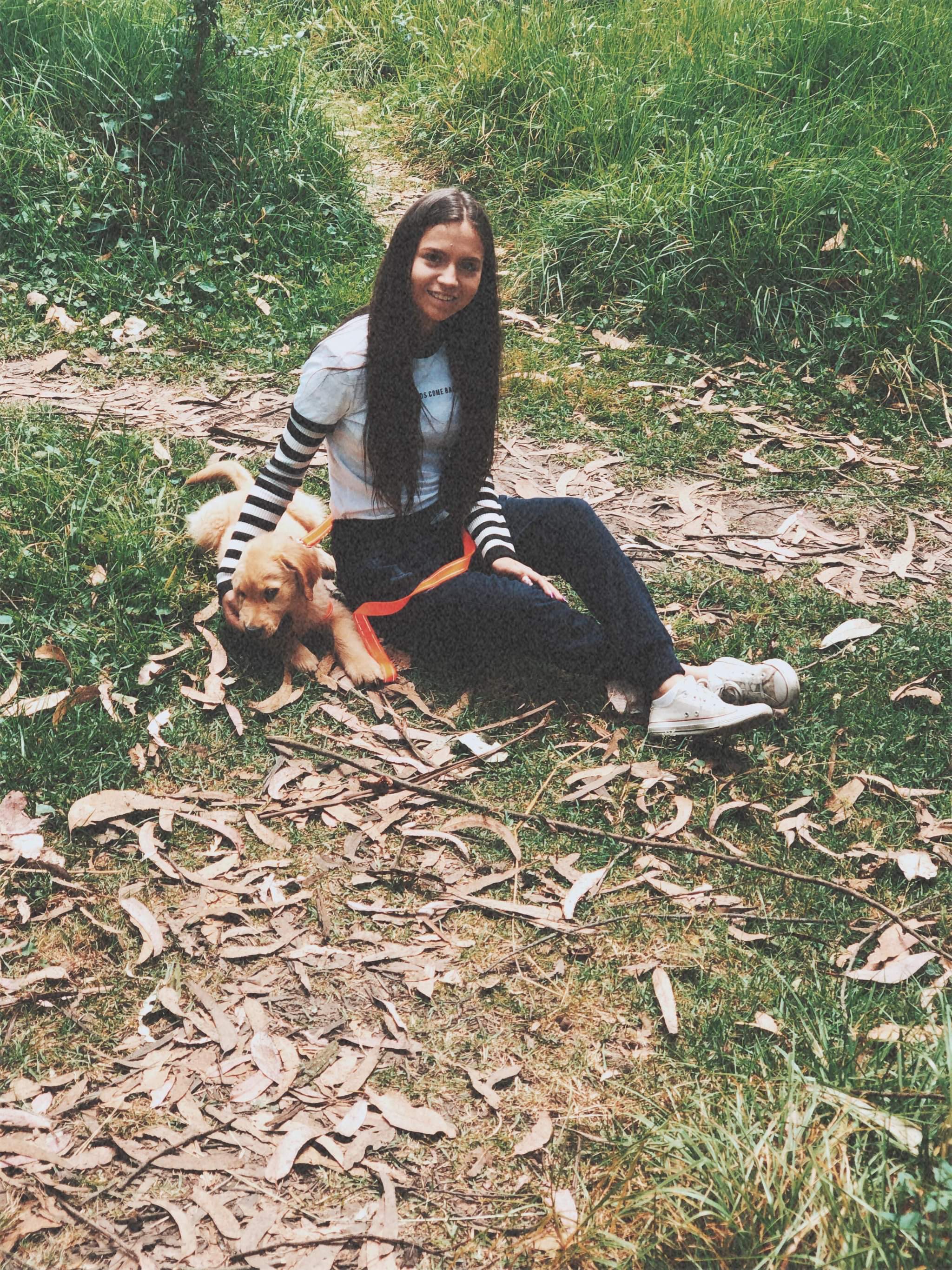 image-2