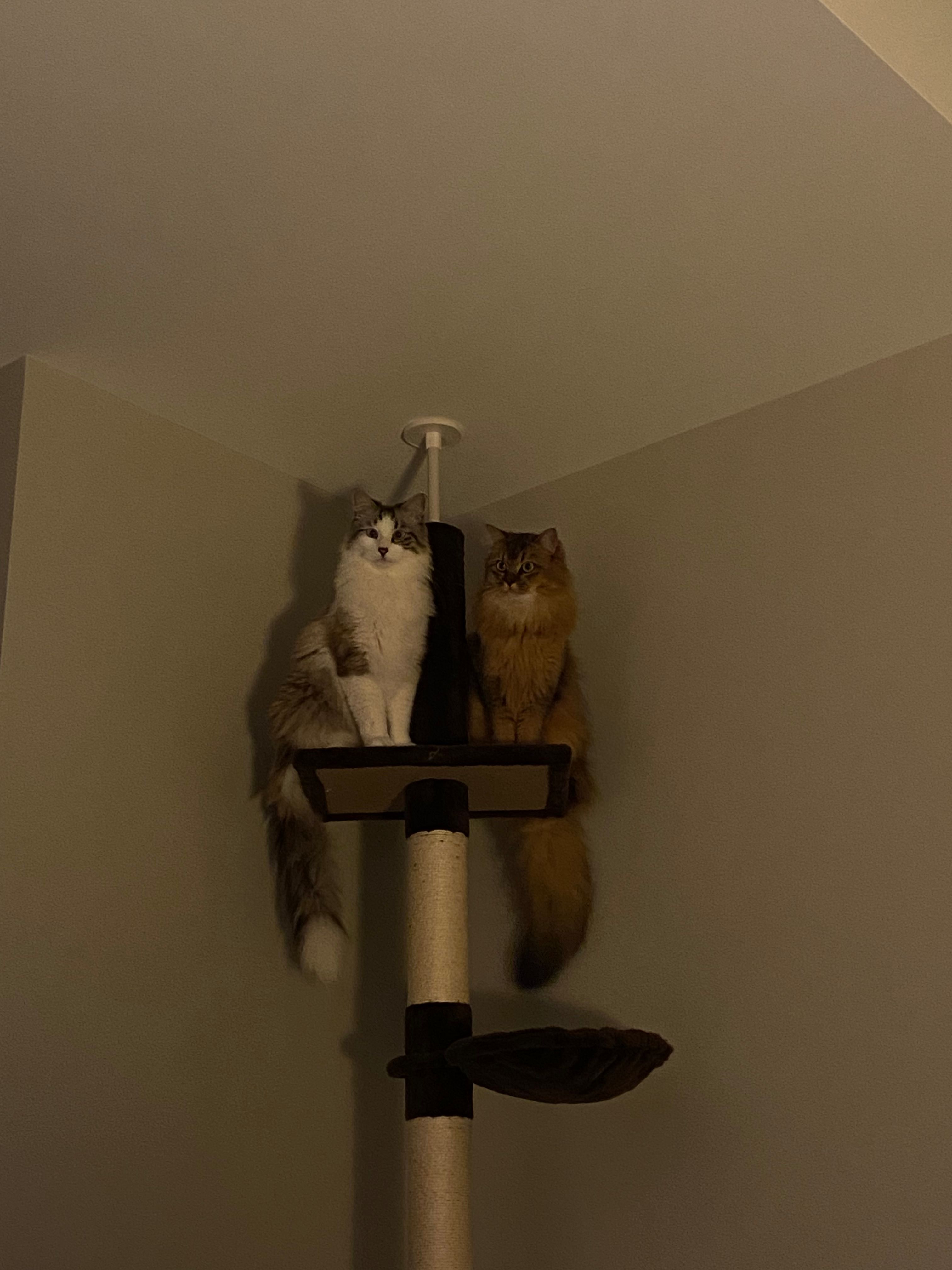 image-9
