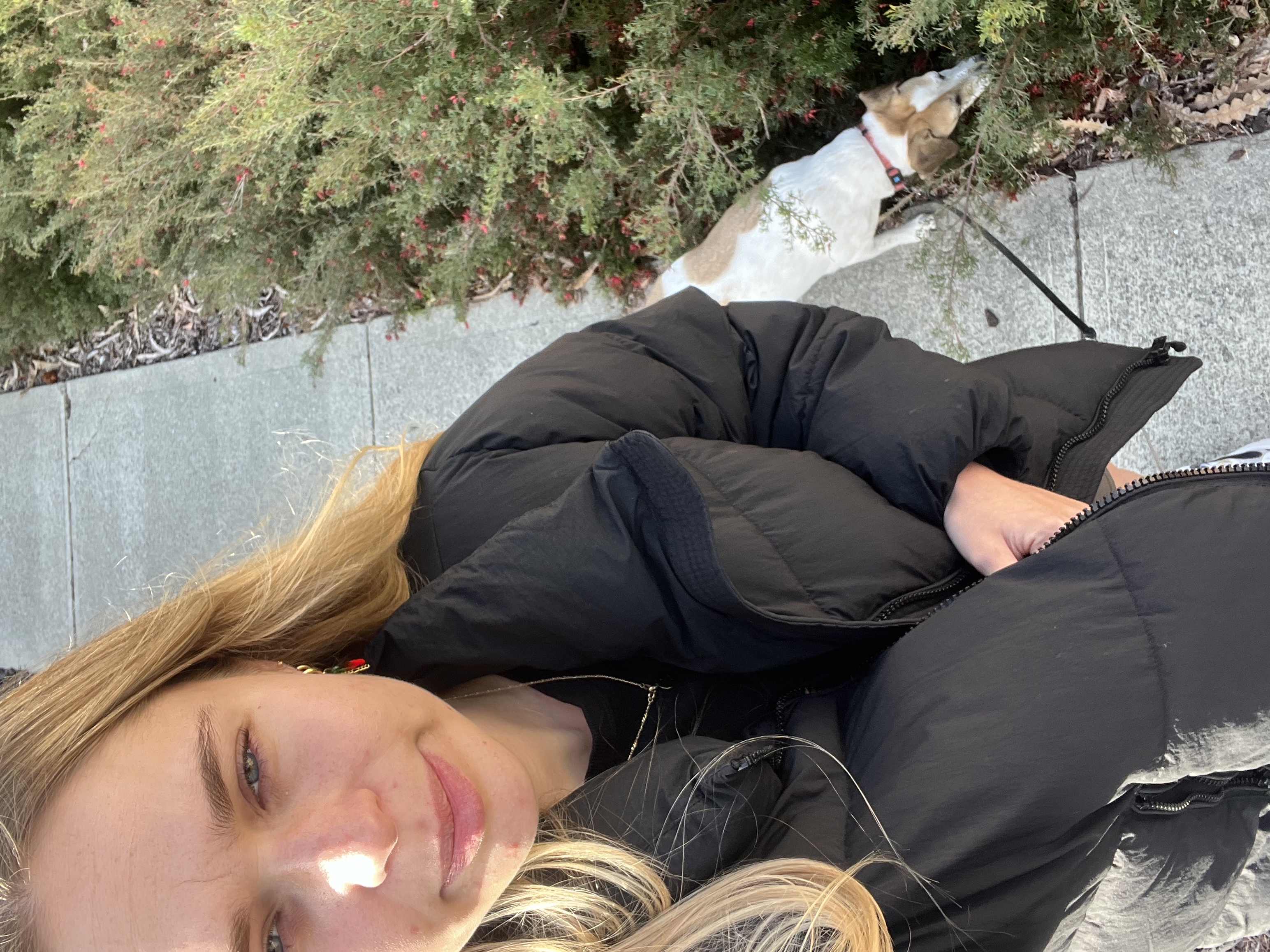 image-7