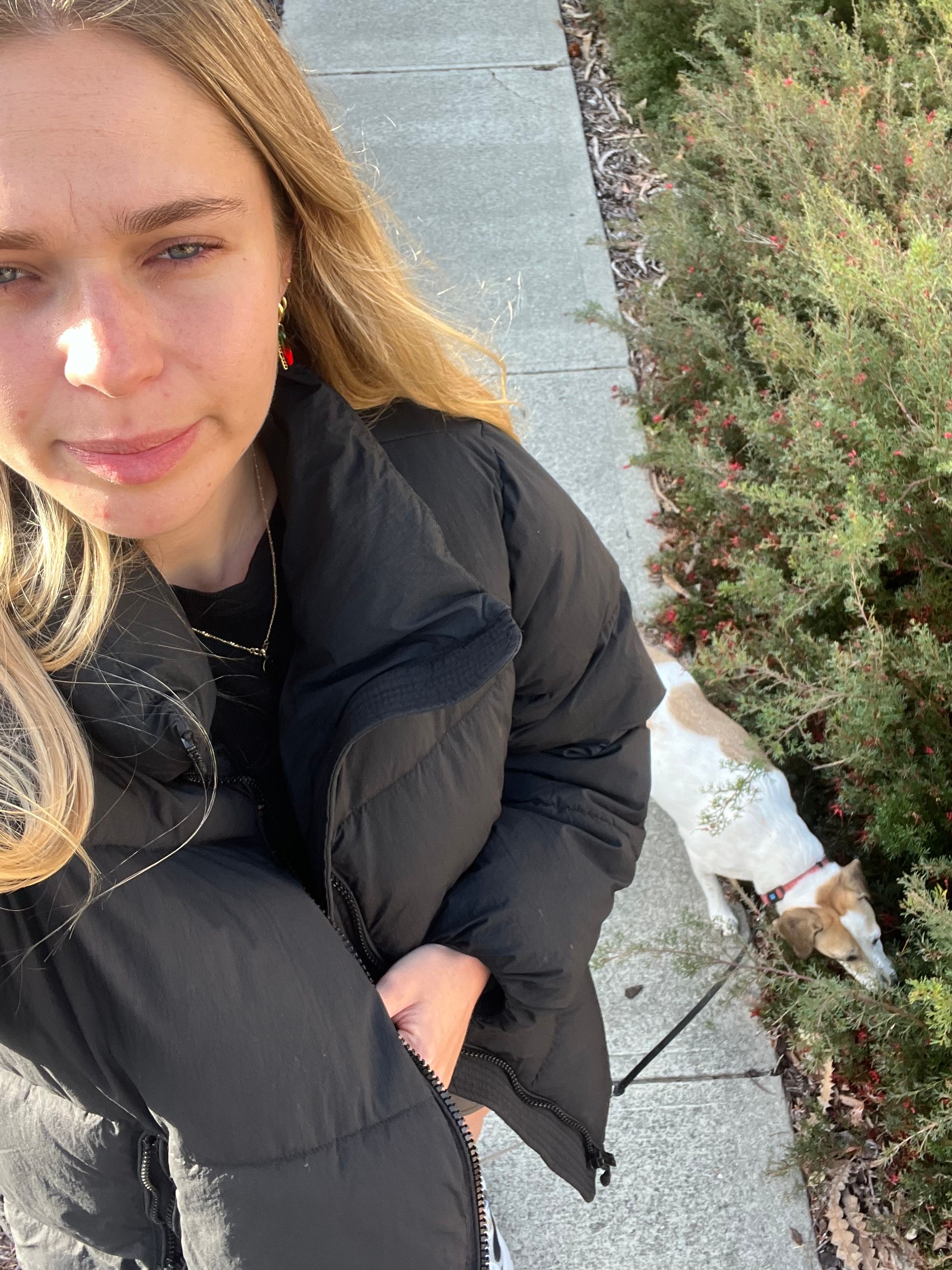 image-7