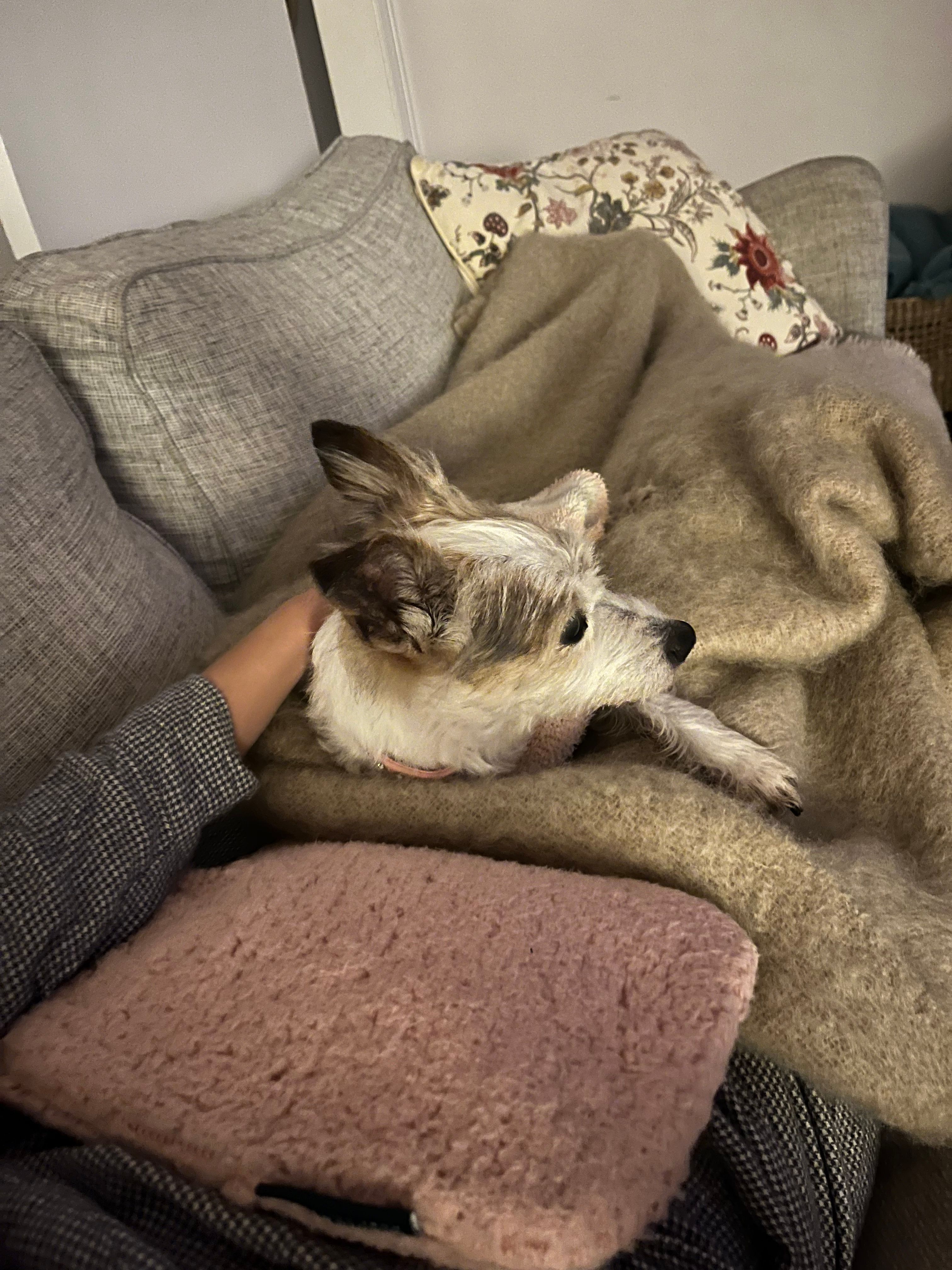image-6