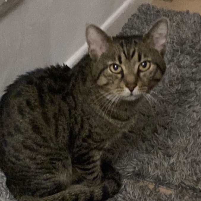 Tom