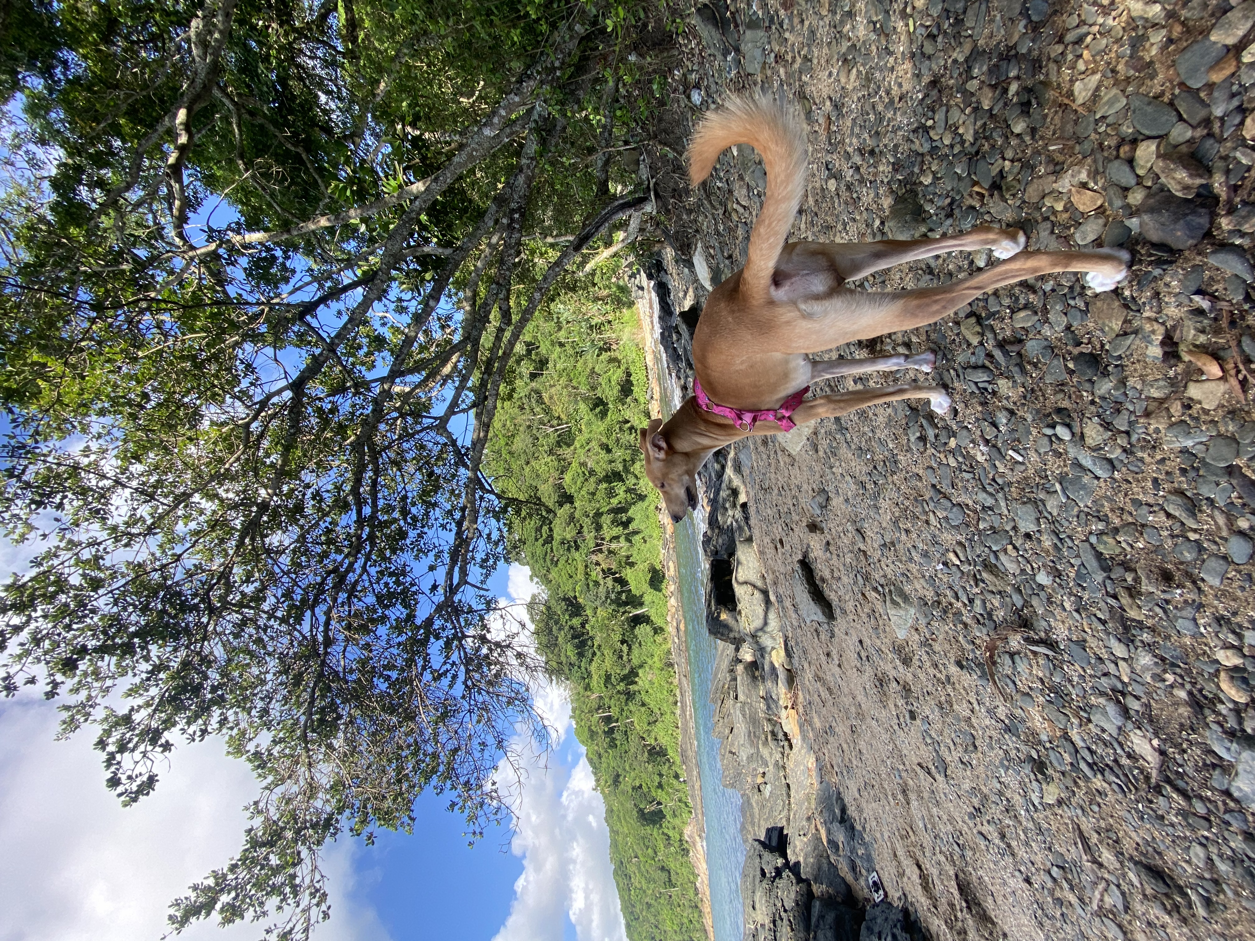 image-6