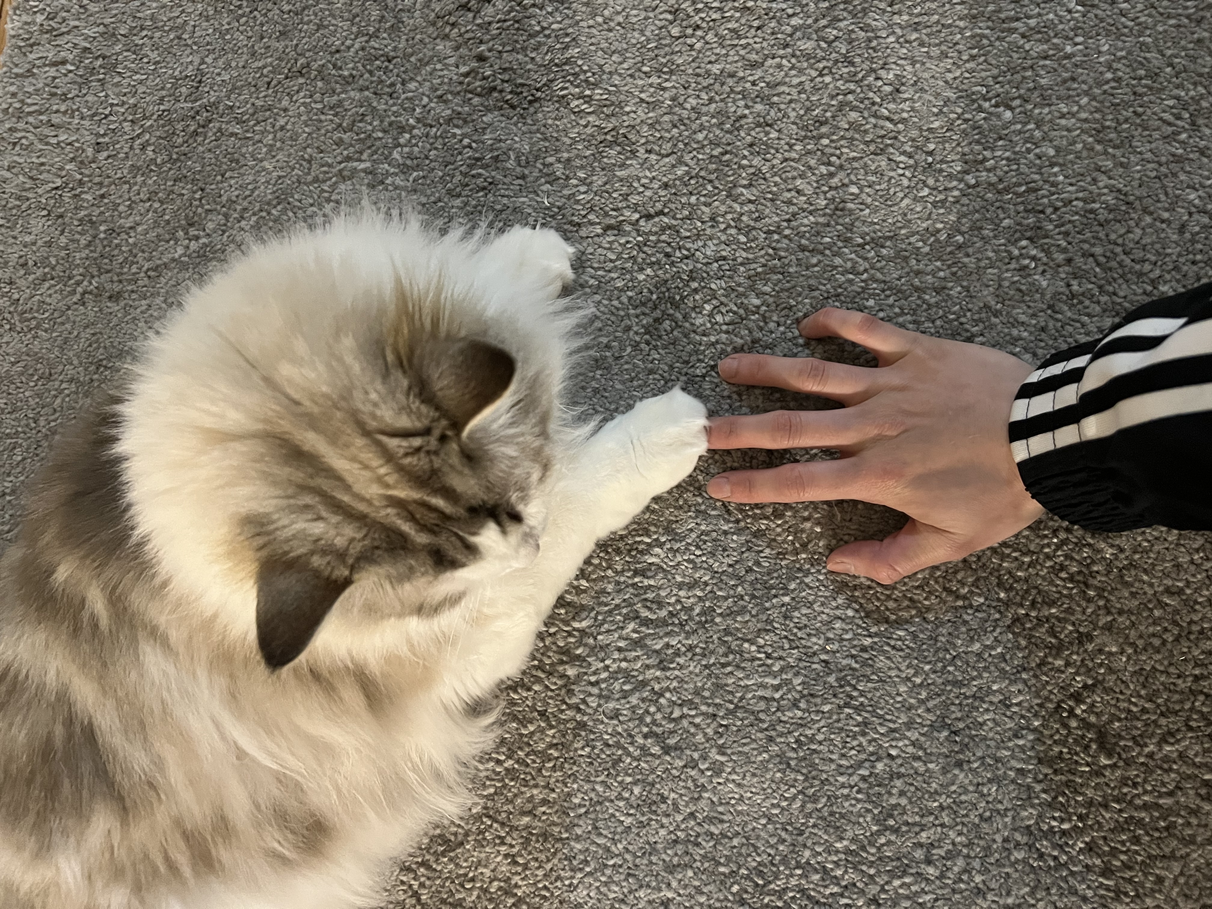 image-6