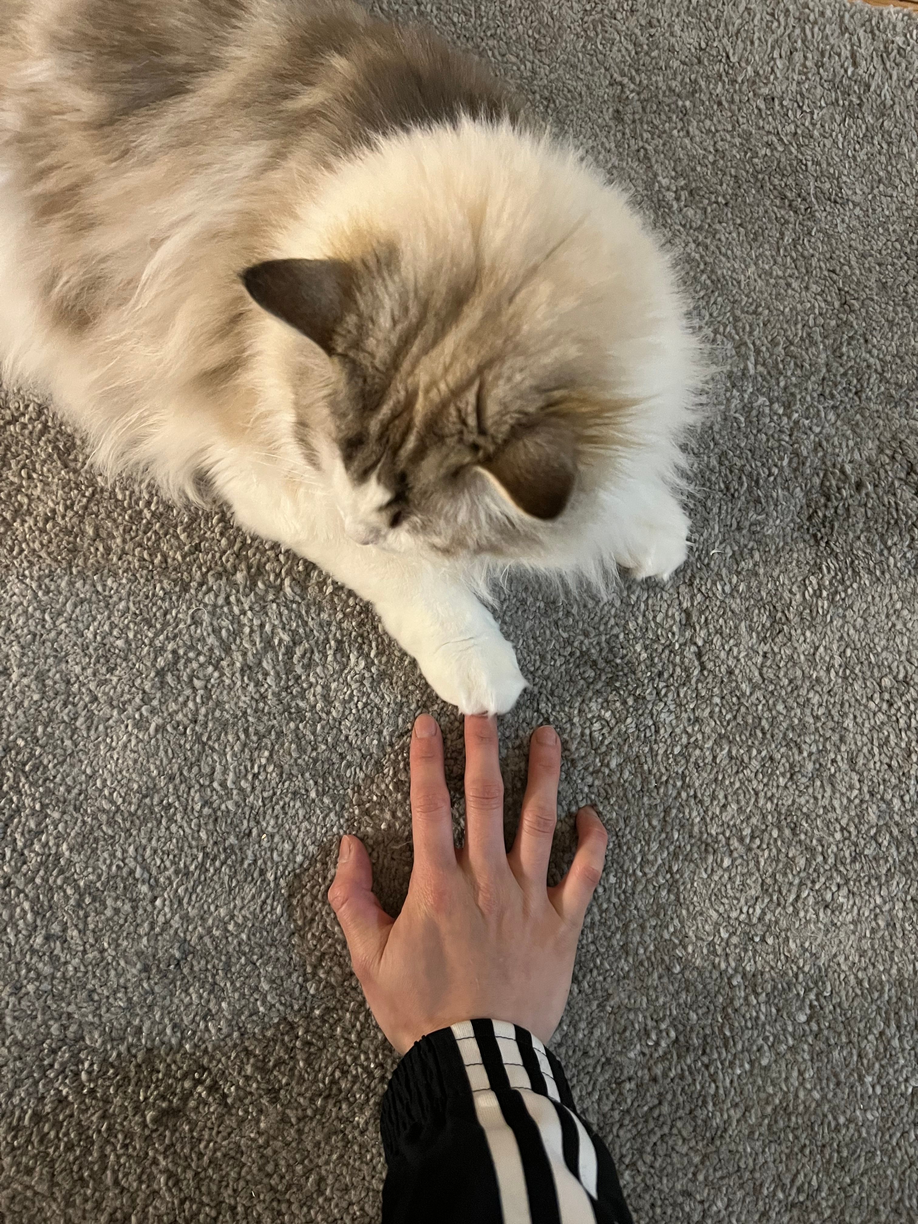 image-6