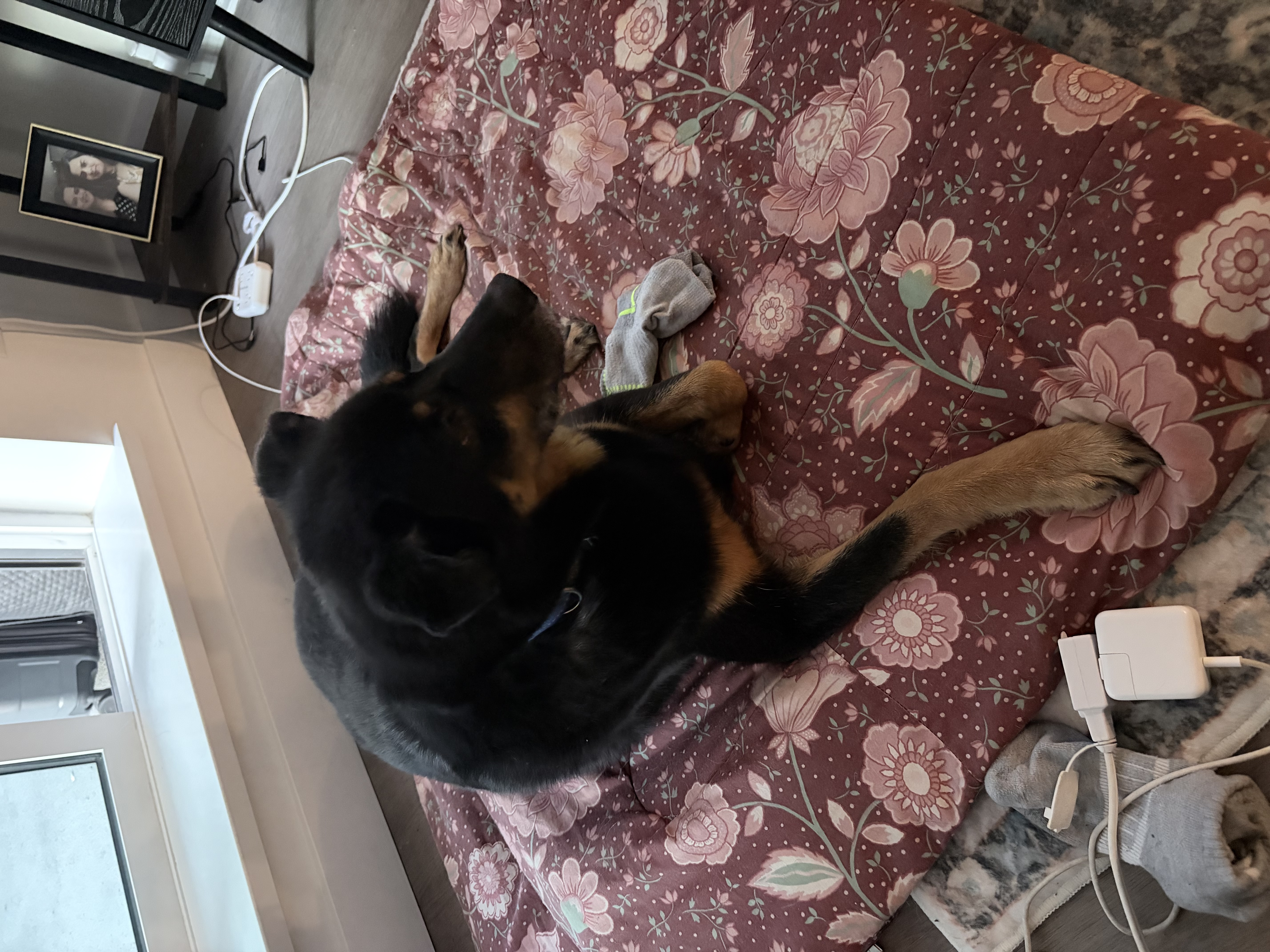 image-8