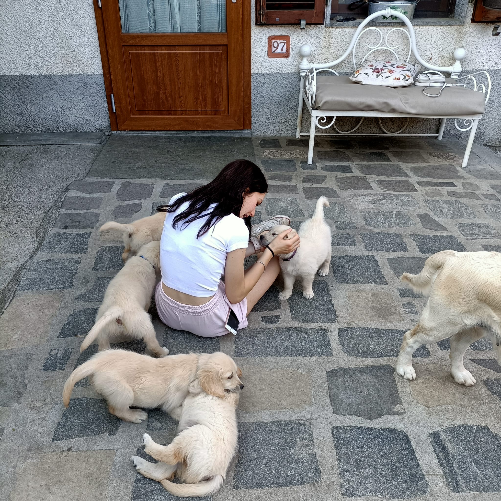 image-4
