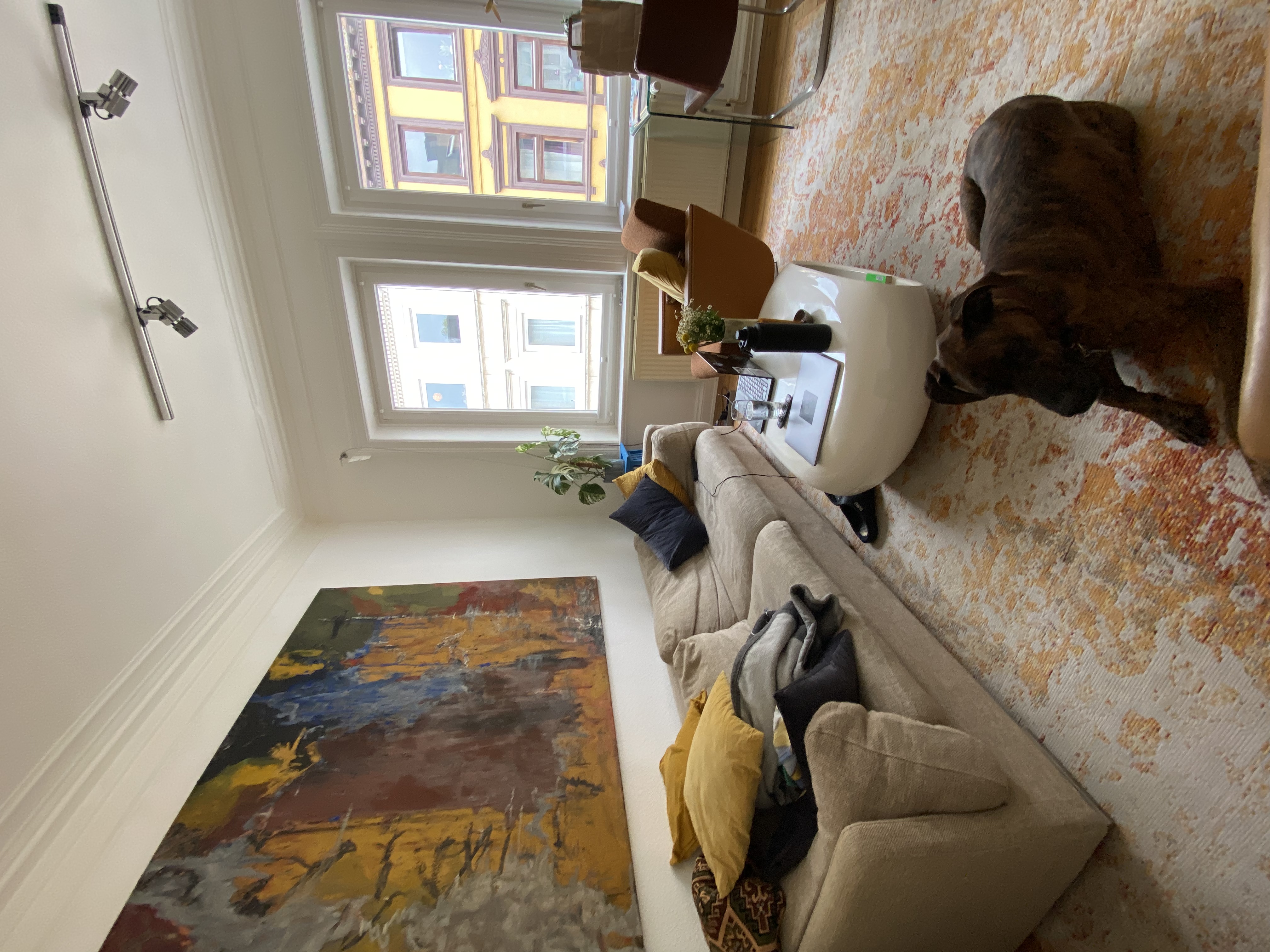 image-7