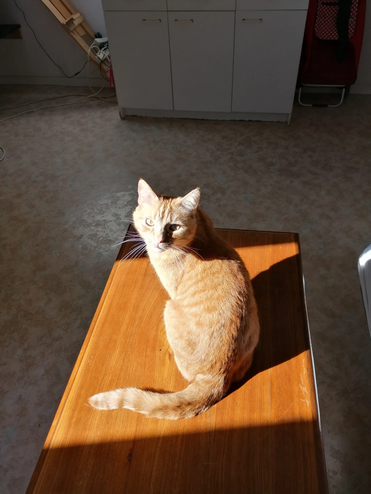image-6