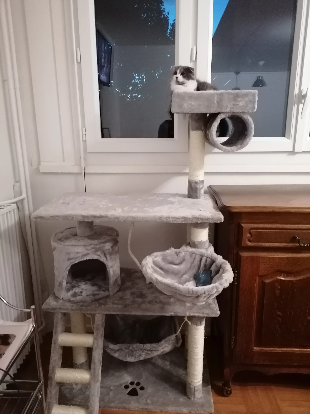 image-9