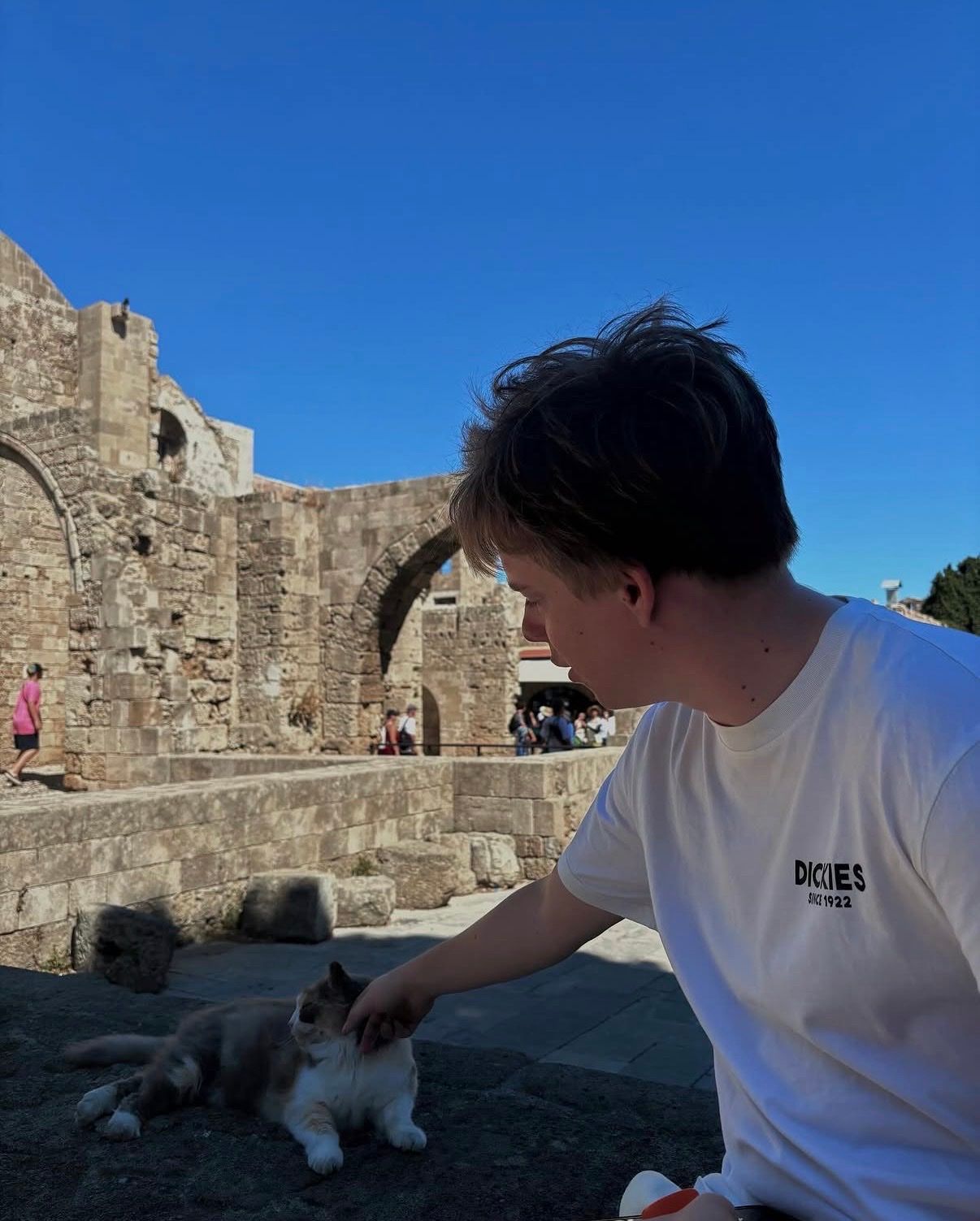 image-2