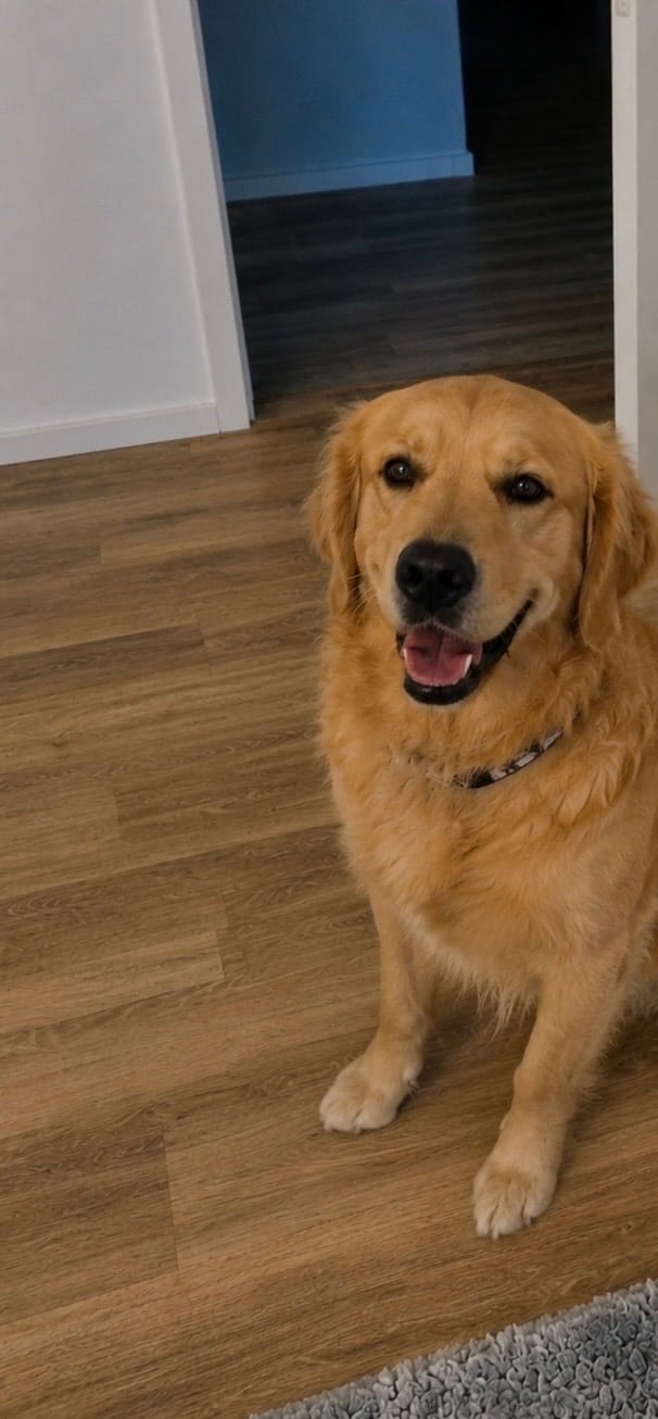 image-3