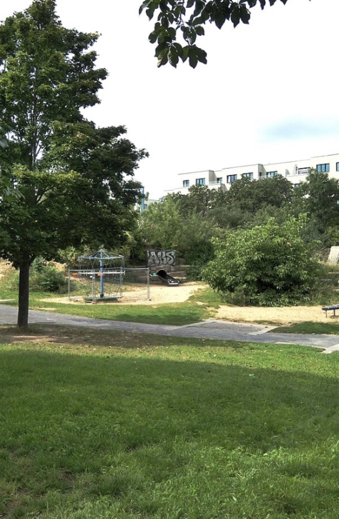 image-19