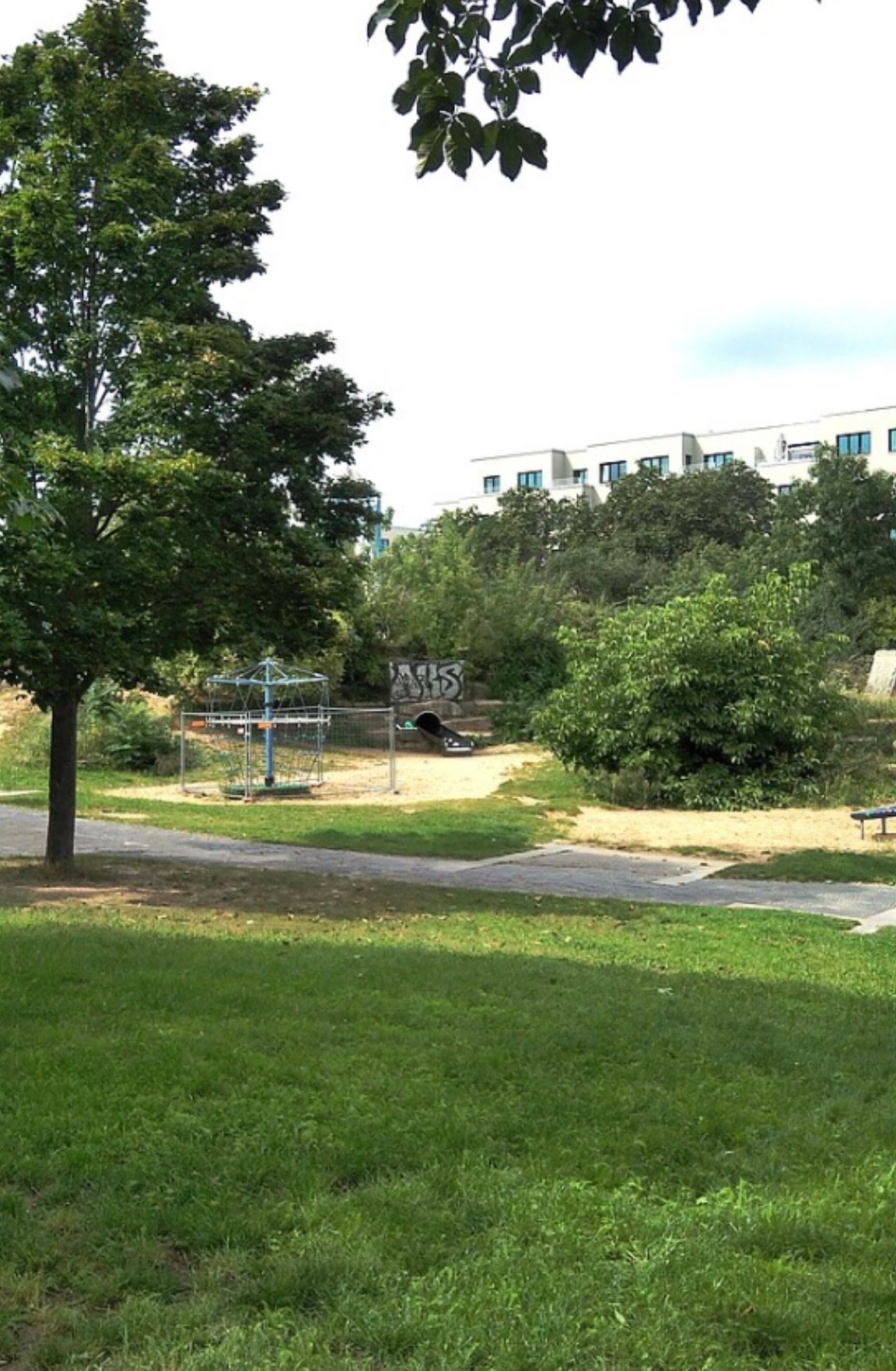image-19