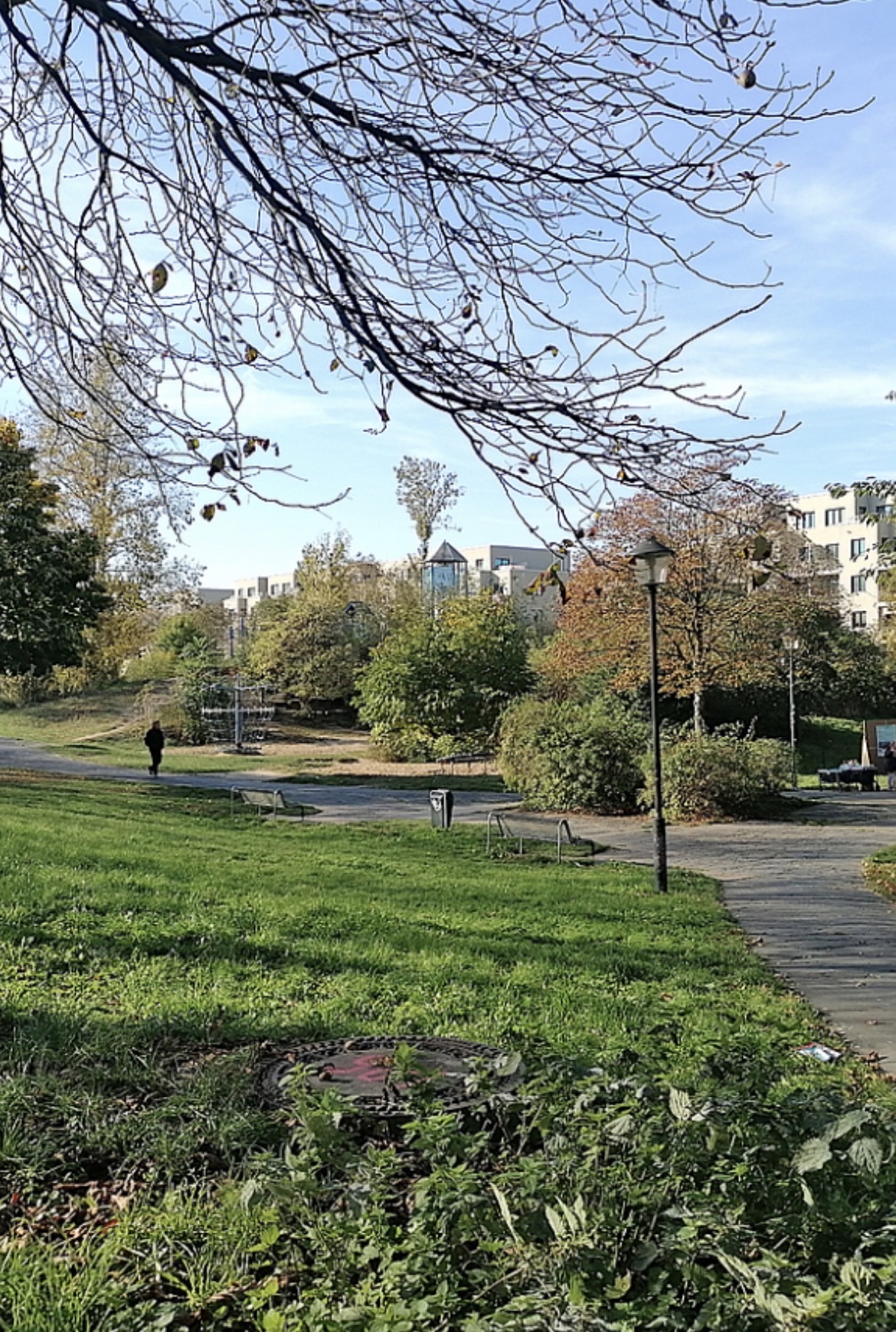 image-18