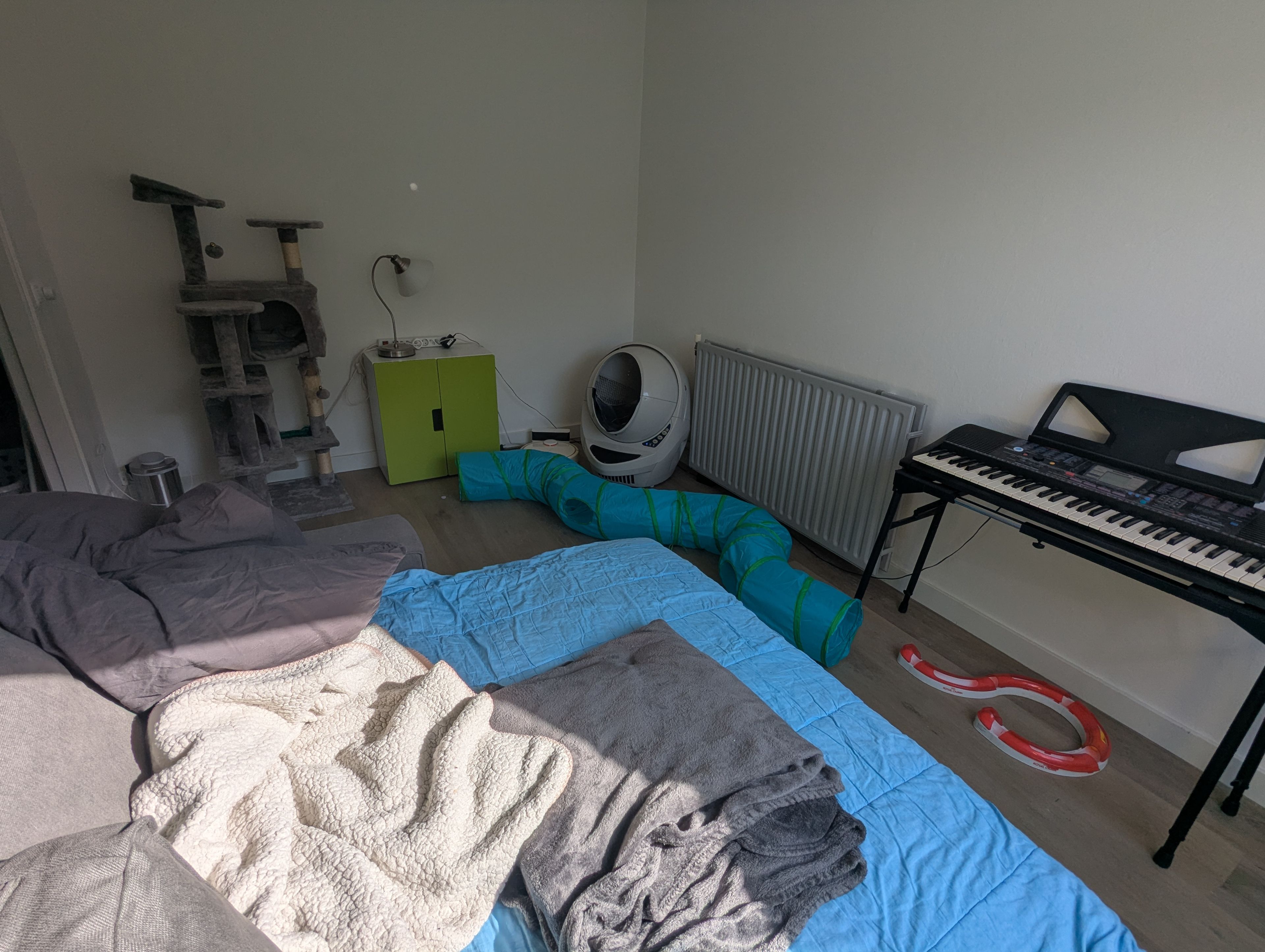image-15