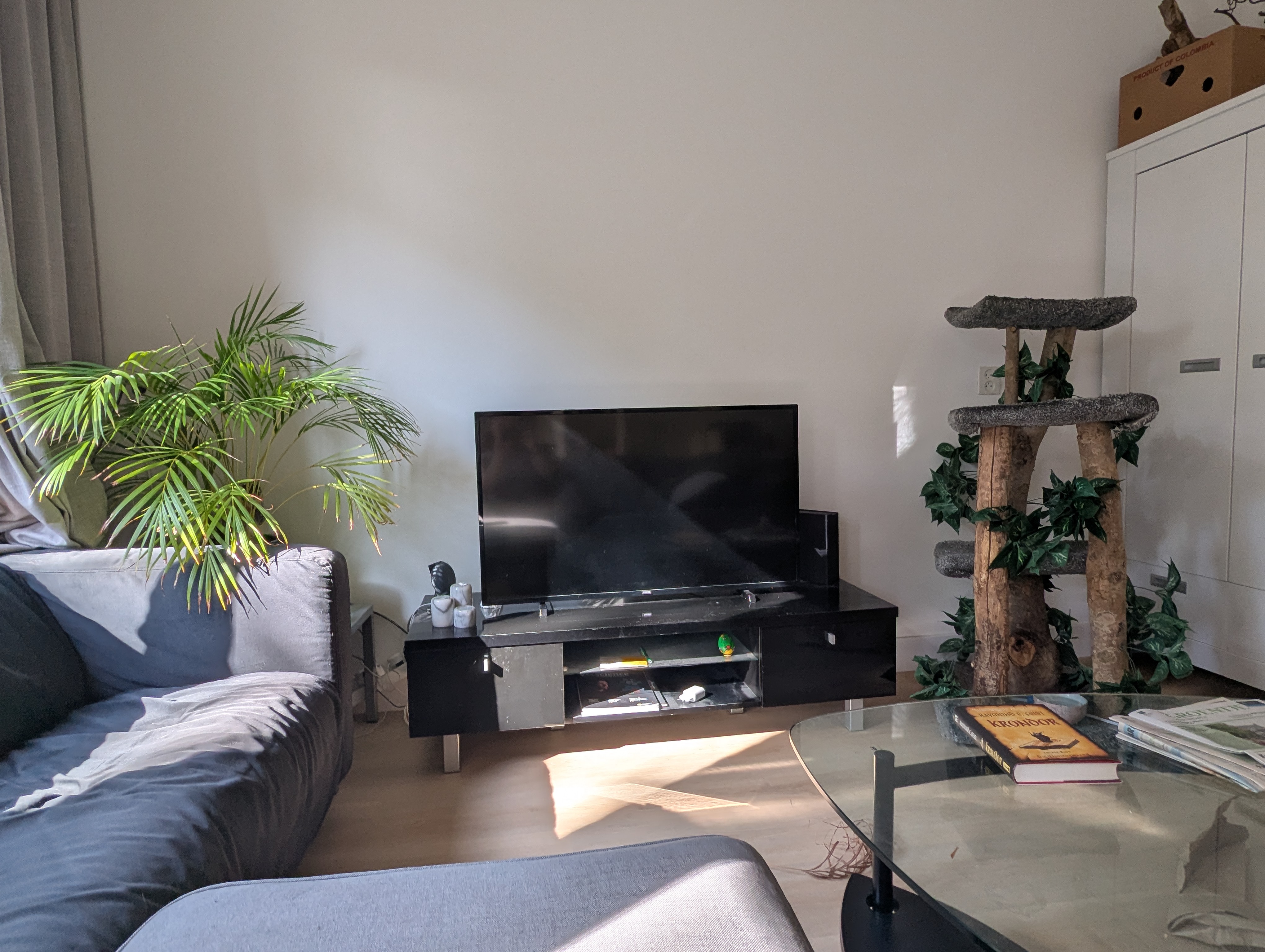 image-13