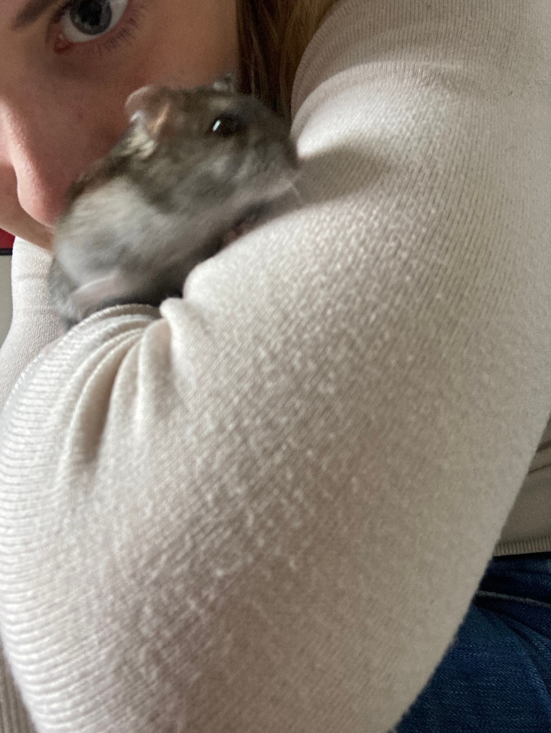 image-8