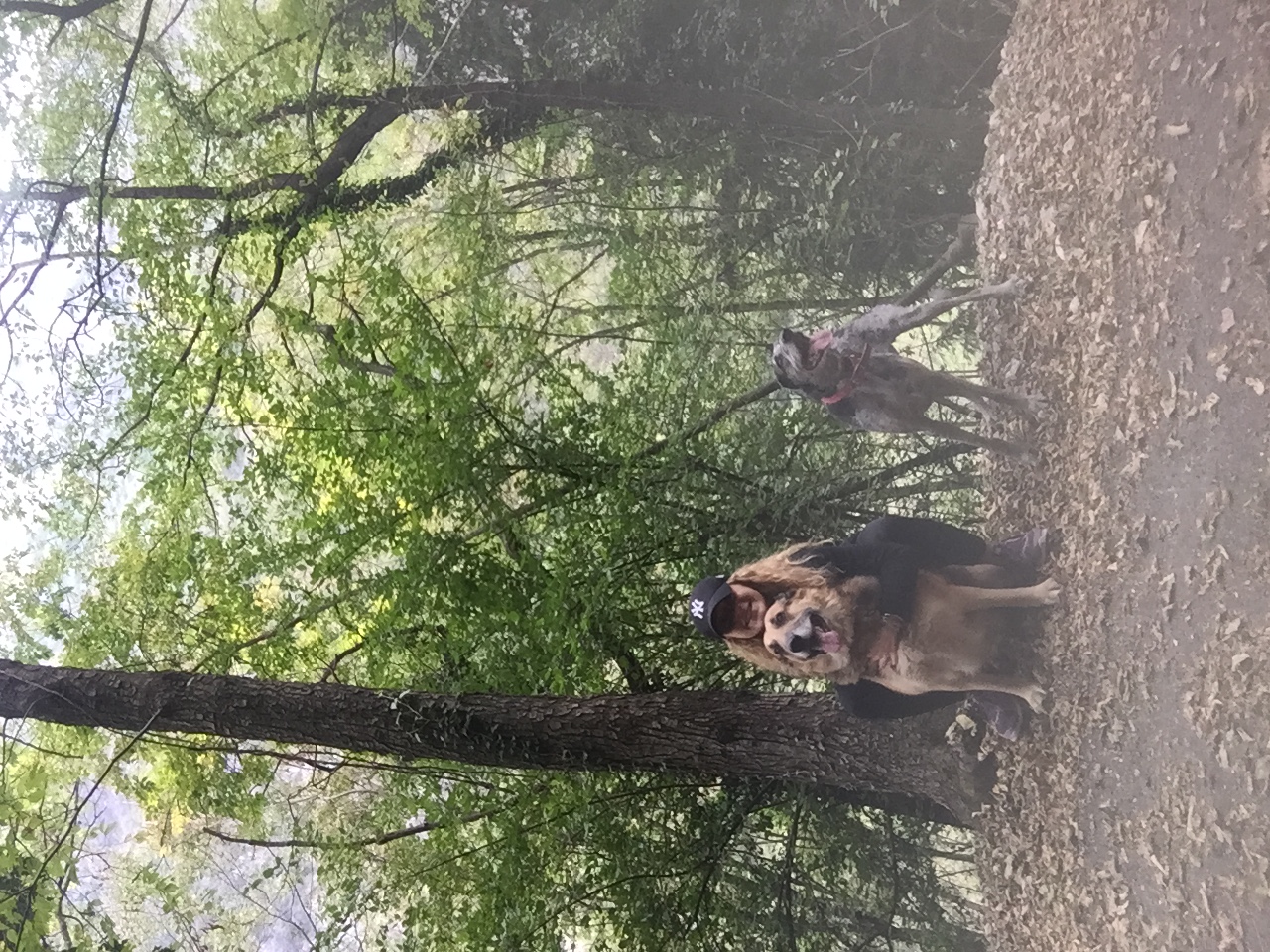 image-17