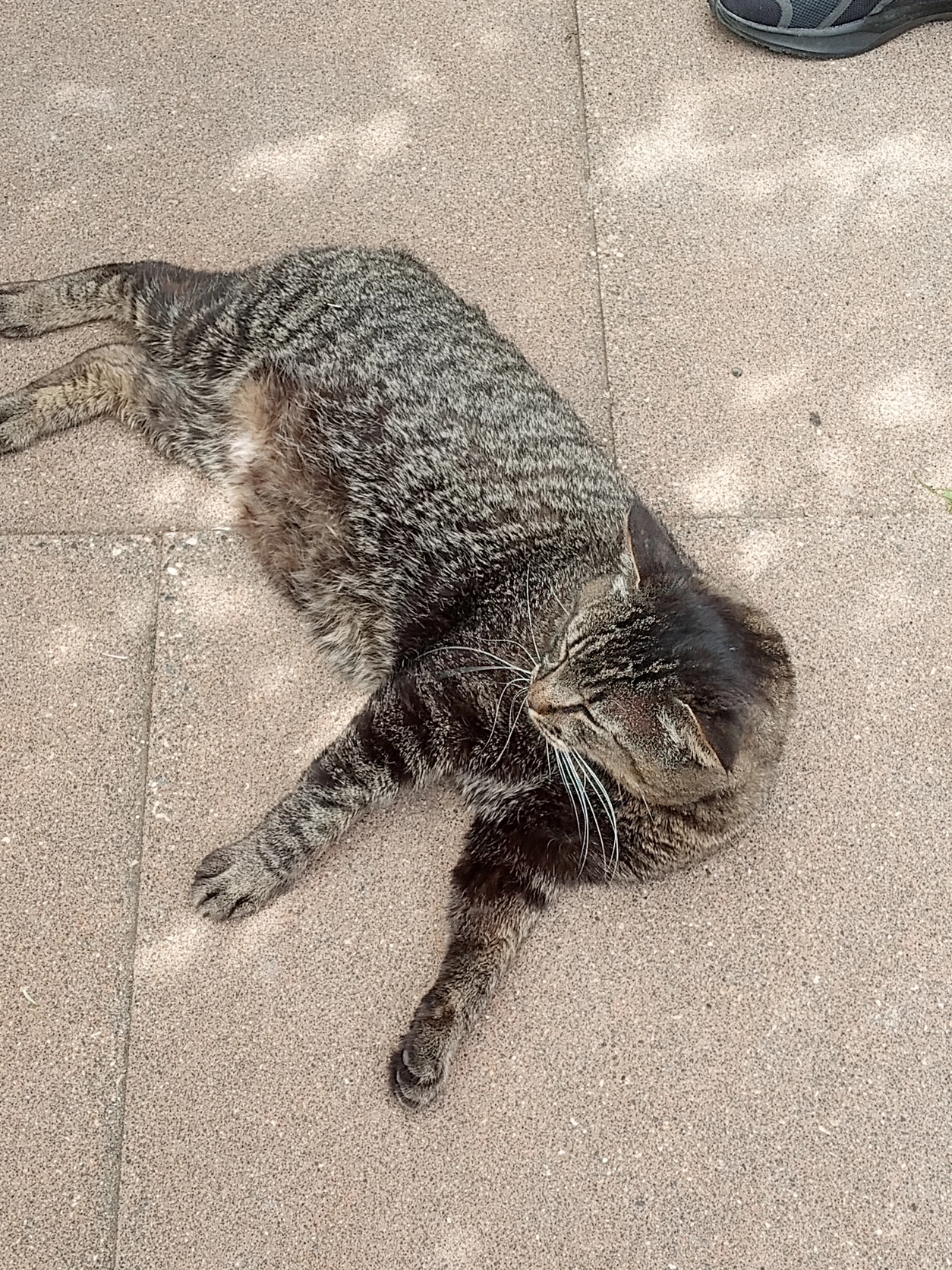 image-5