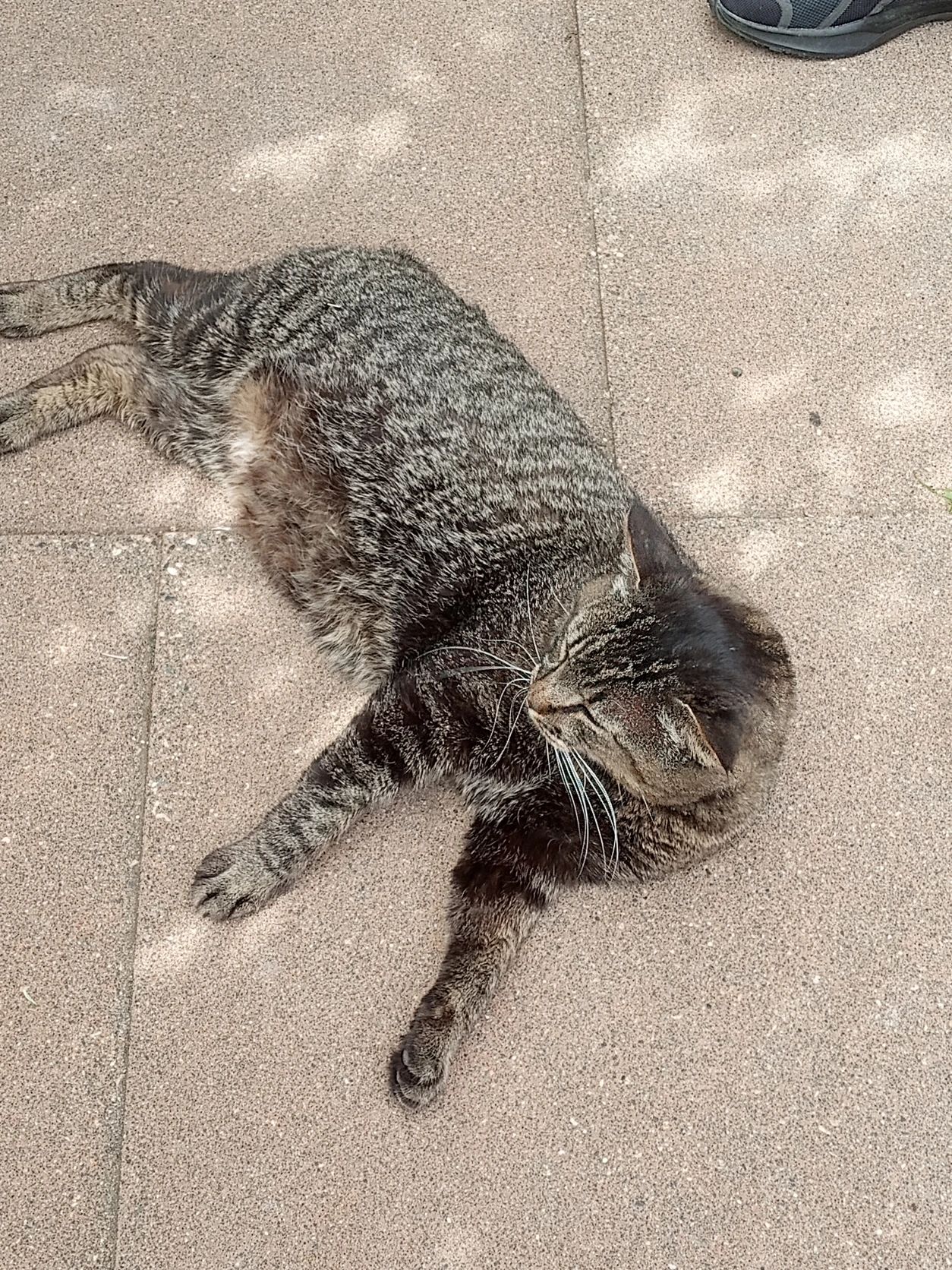 image-5