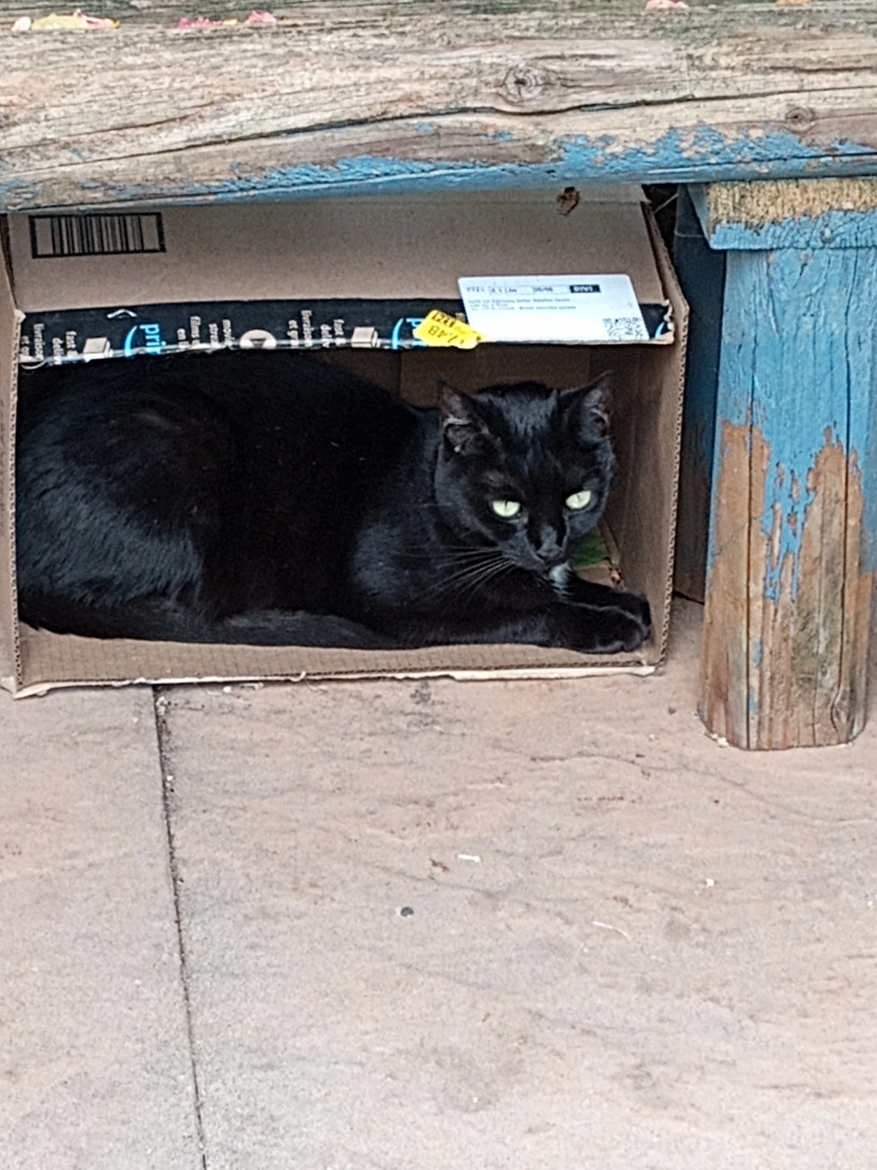 image-7