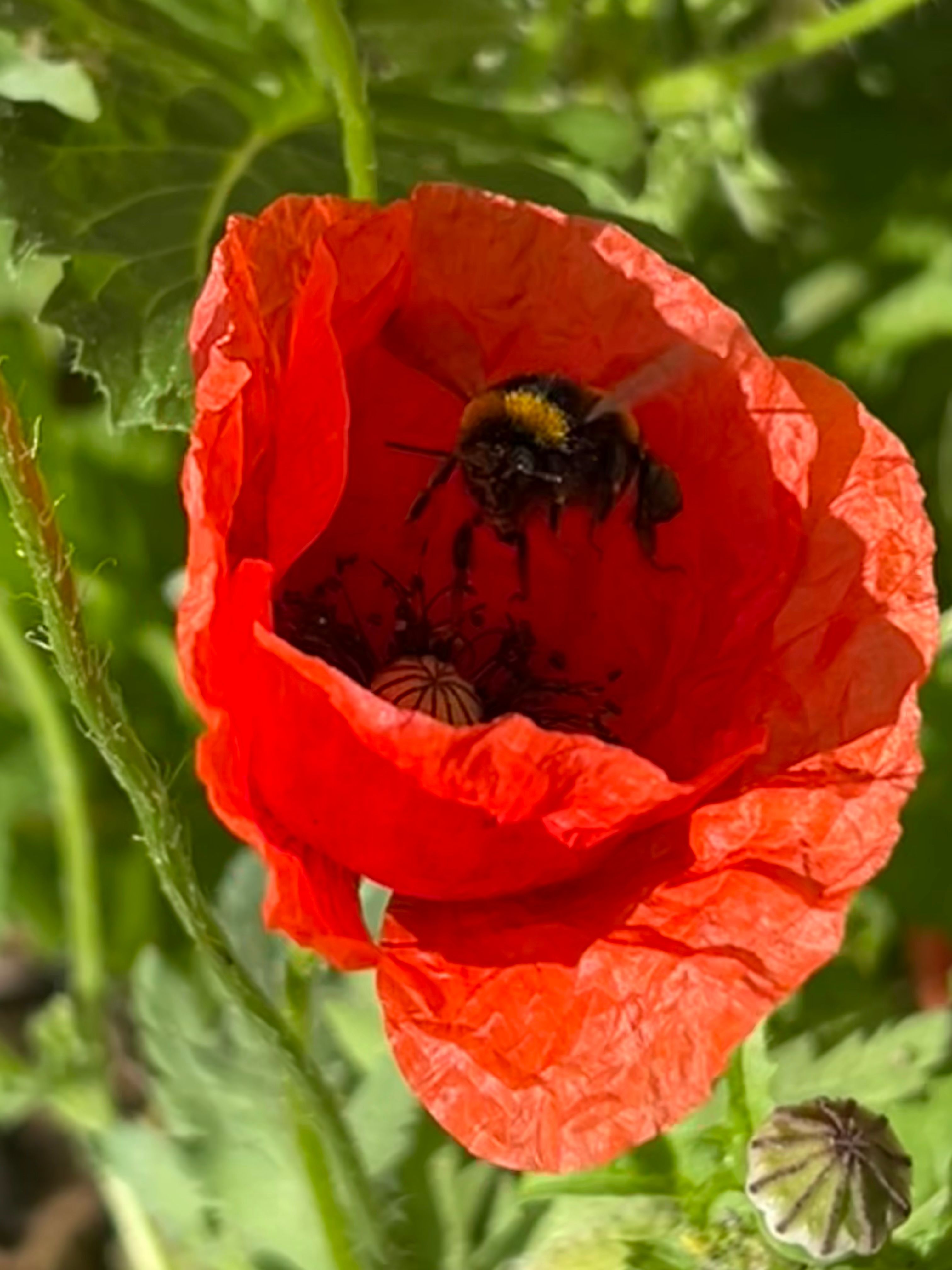 image-11