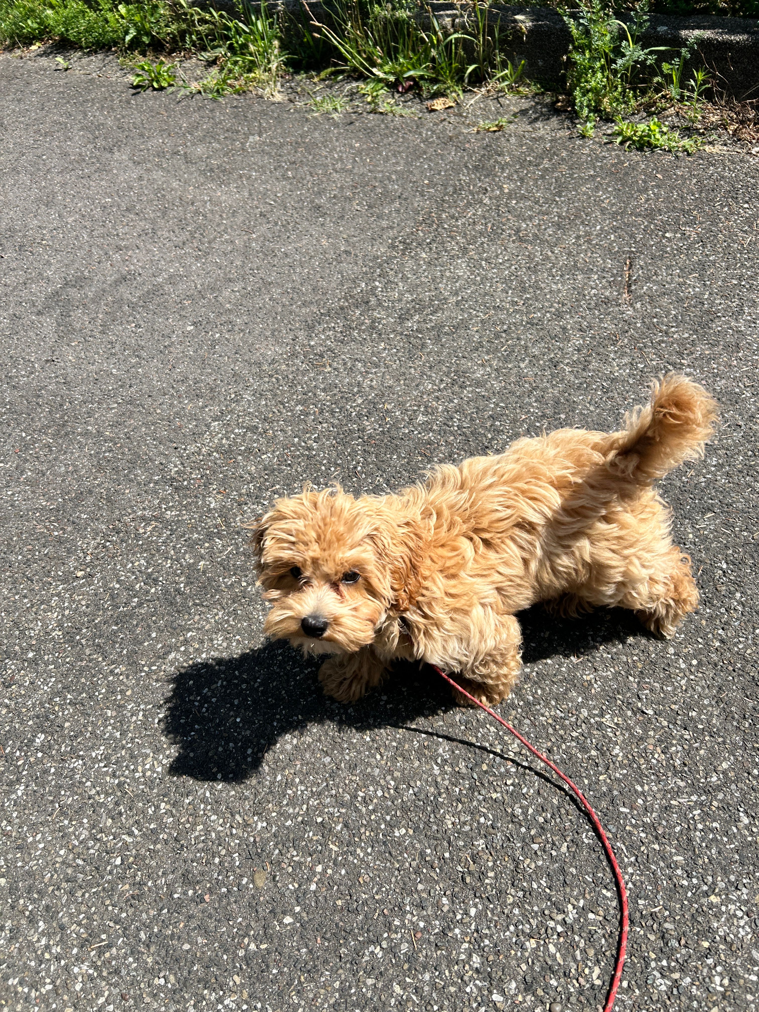 image-27