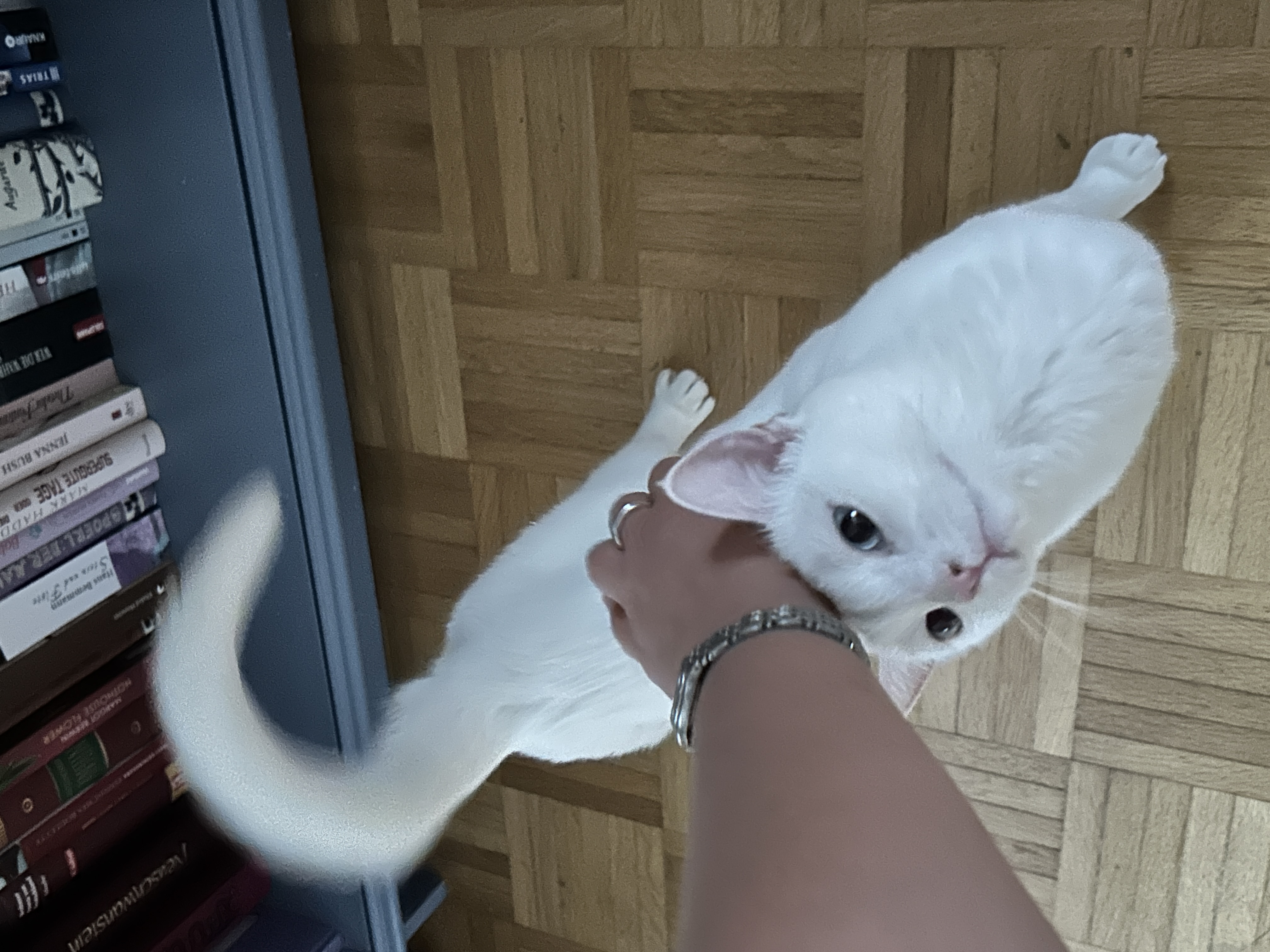 image-38