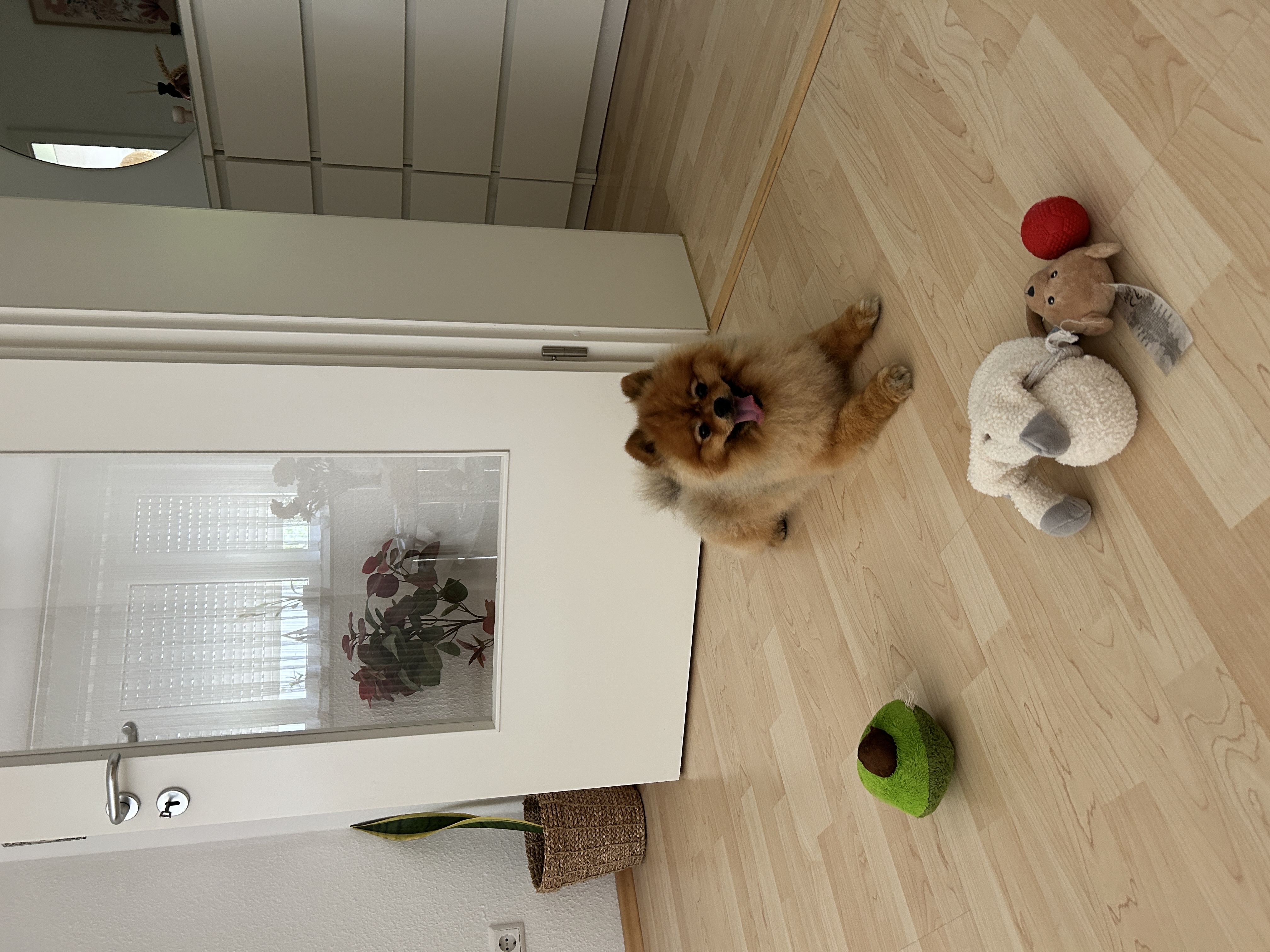 image-15