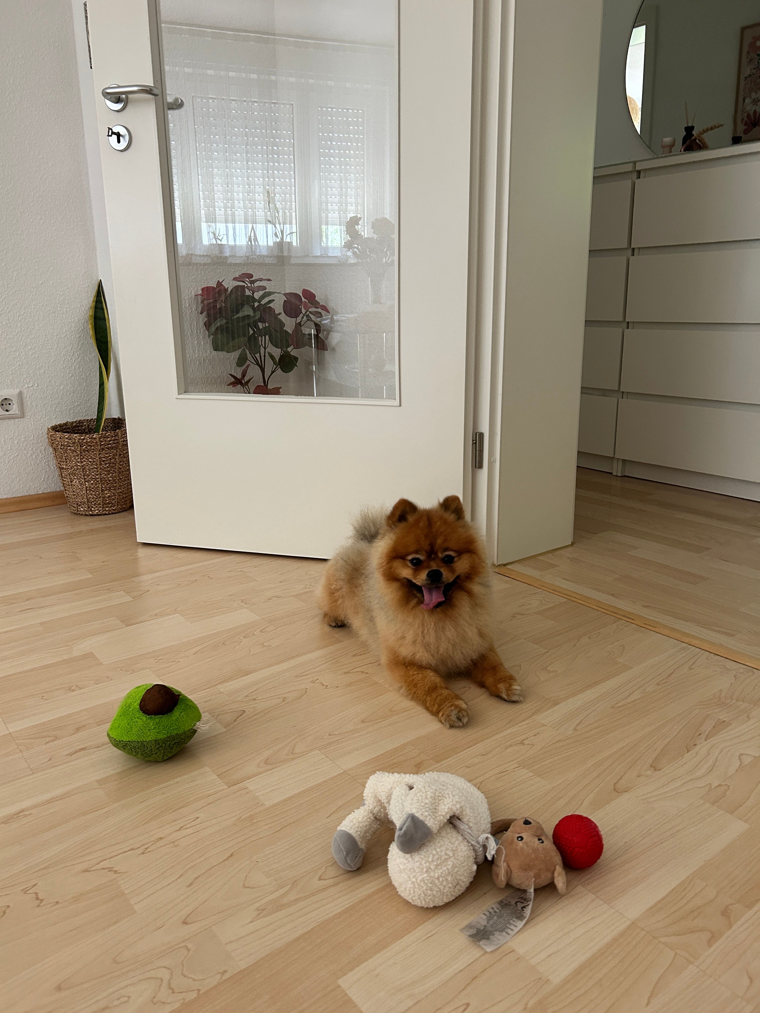 image-15