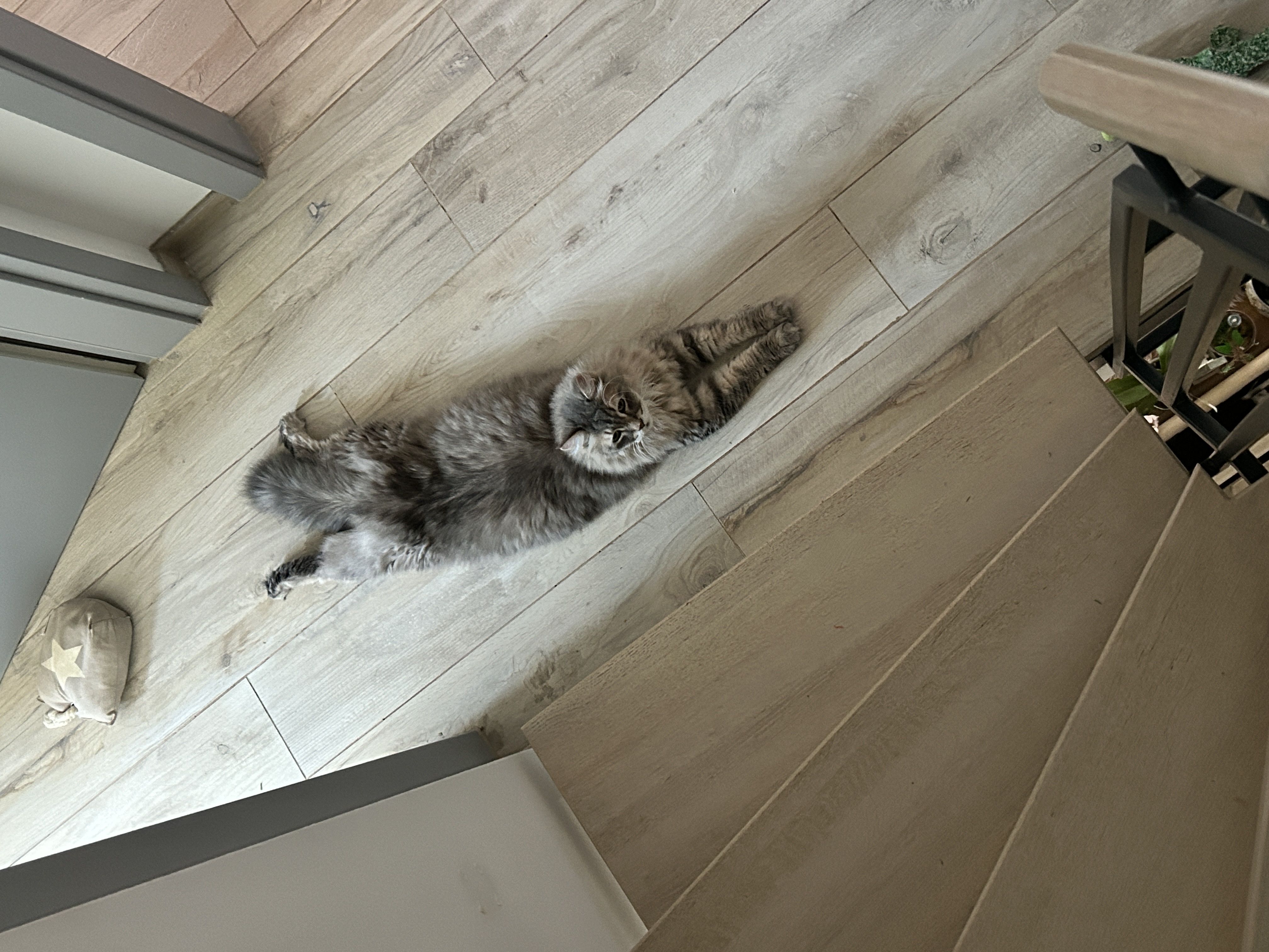 image-47